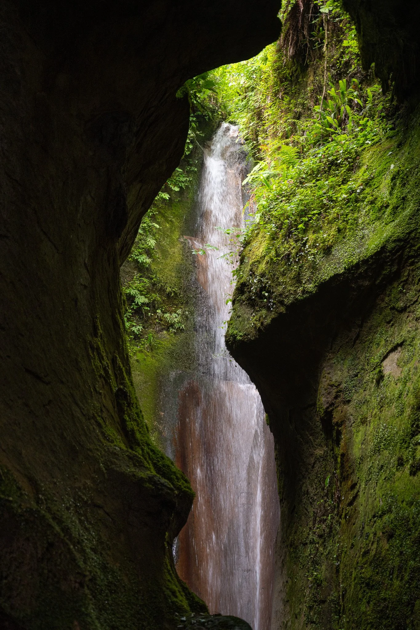 NZ7_9350.jpg