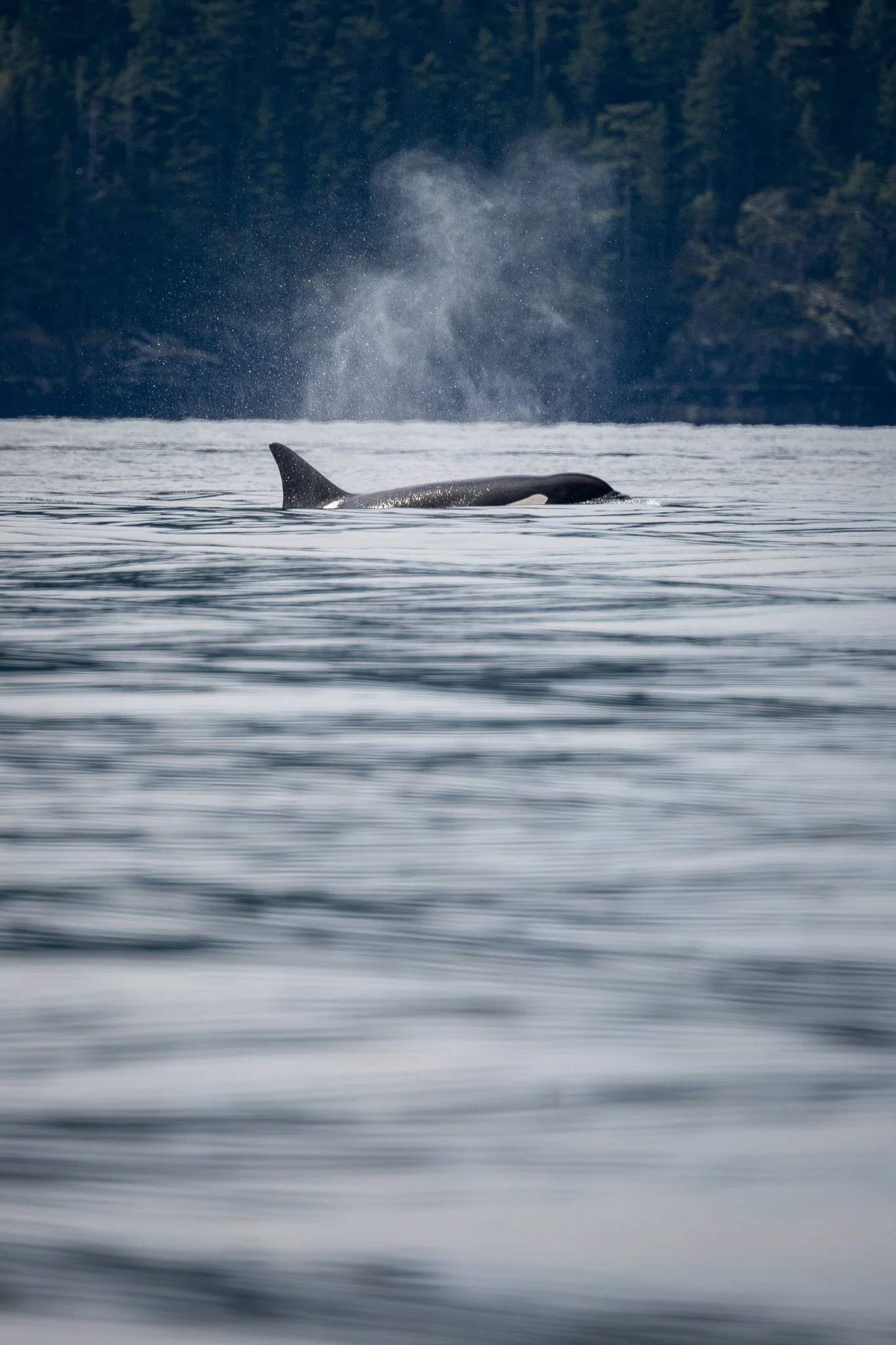 NZ7_1465.jpg