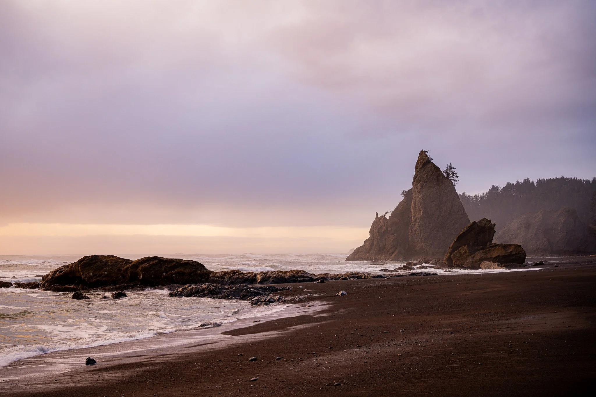 NZ7_6213-2.jpg