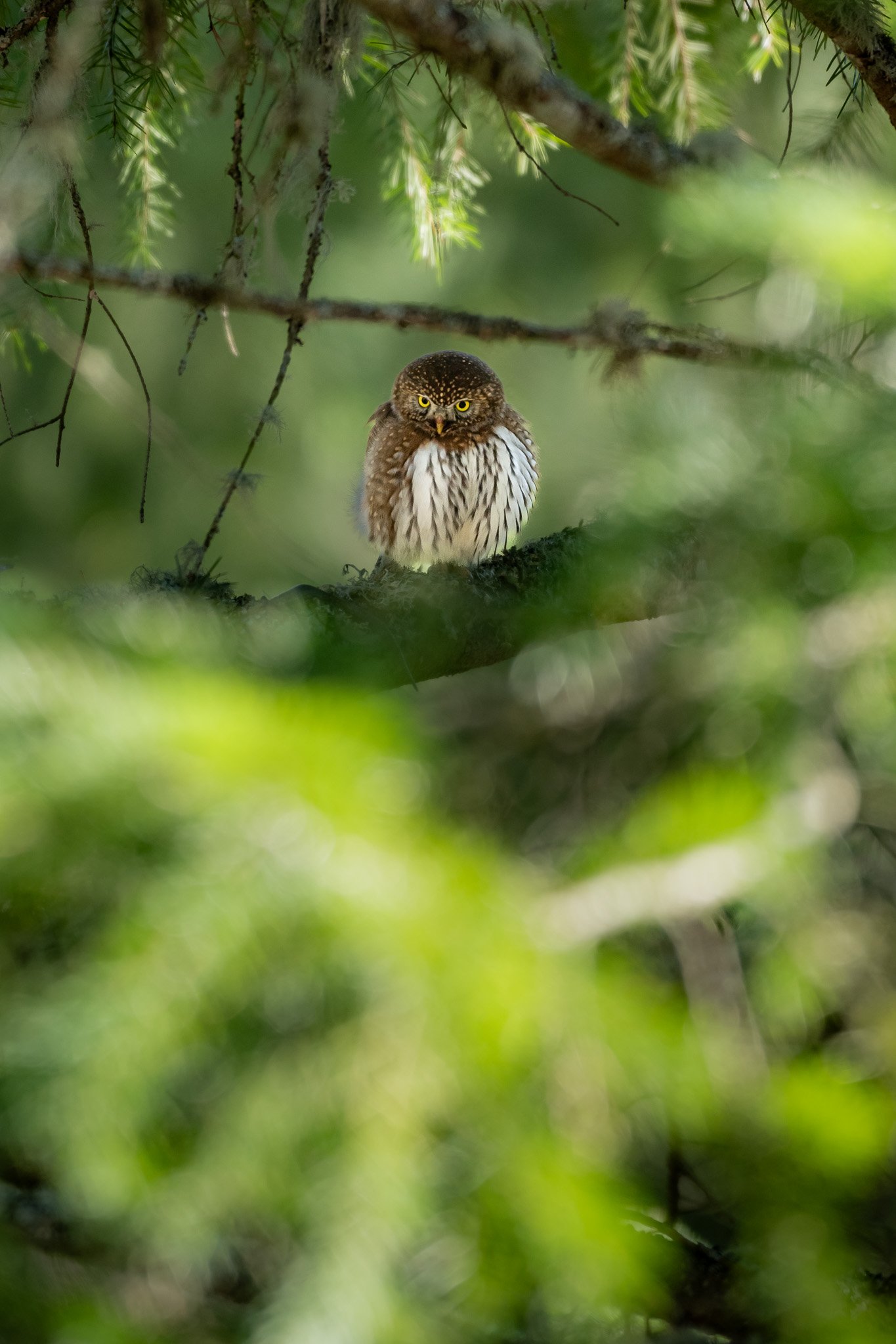 NZ7_1402-4.jpg