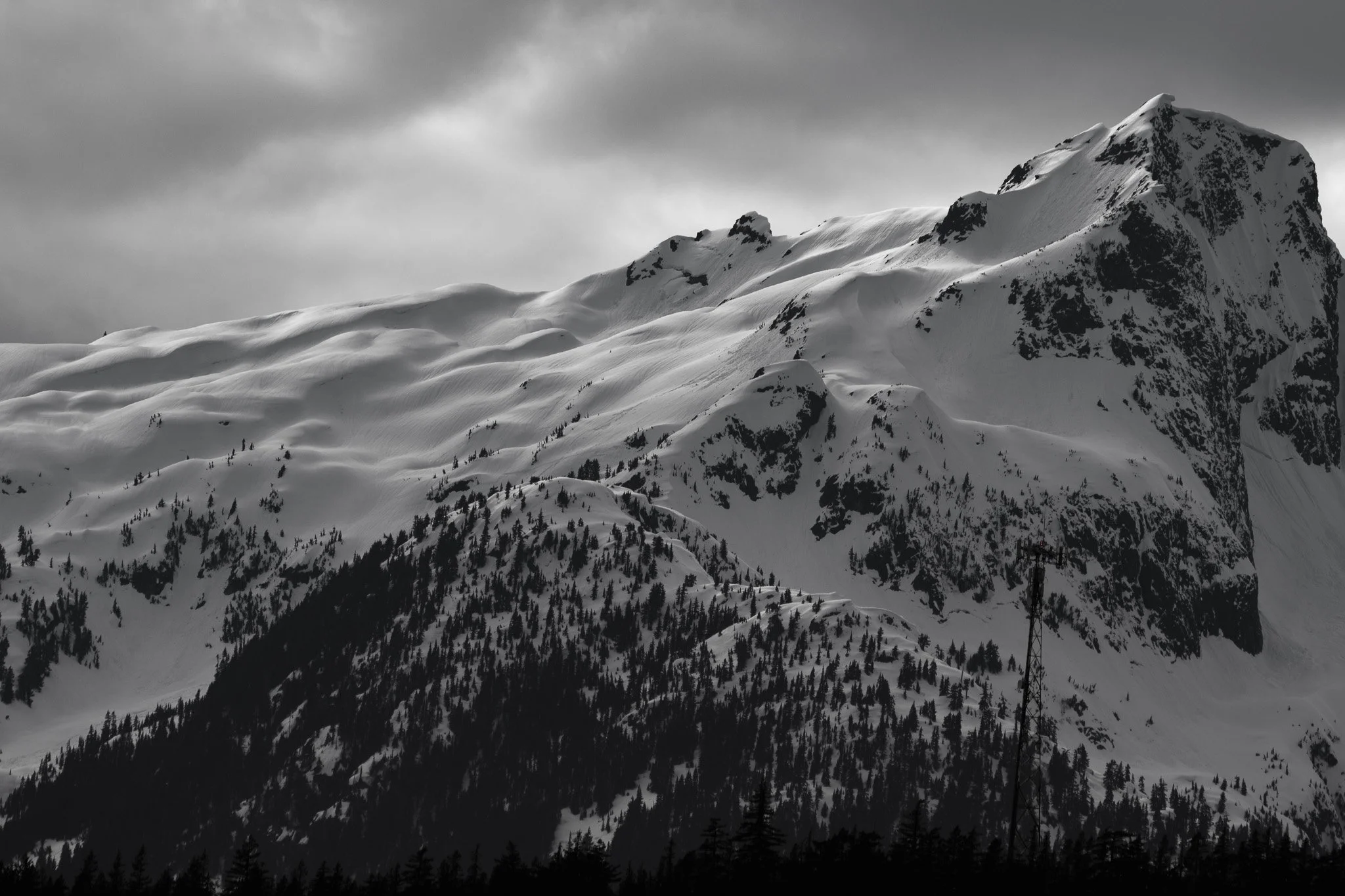 NZ7_0961-2.jpg