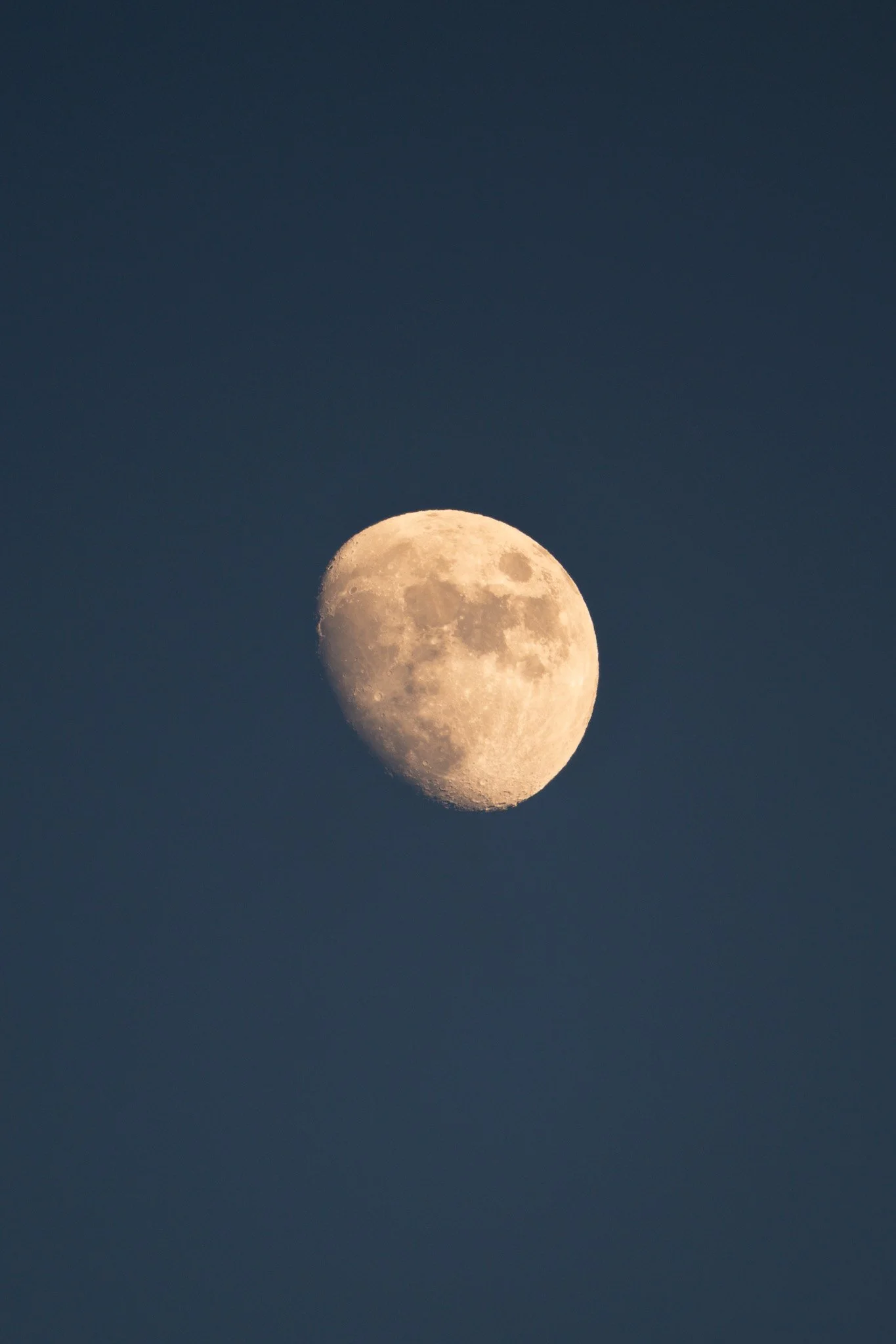 DSC_6686.jpg