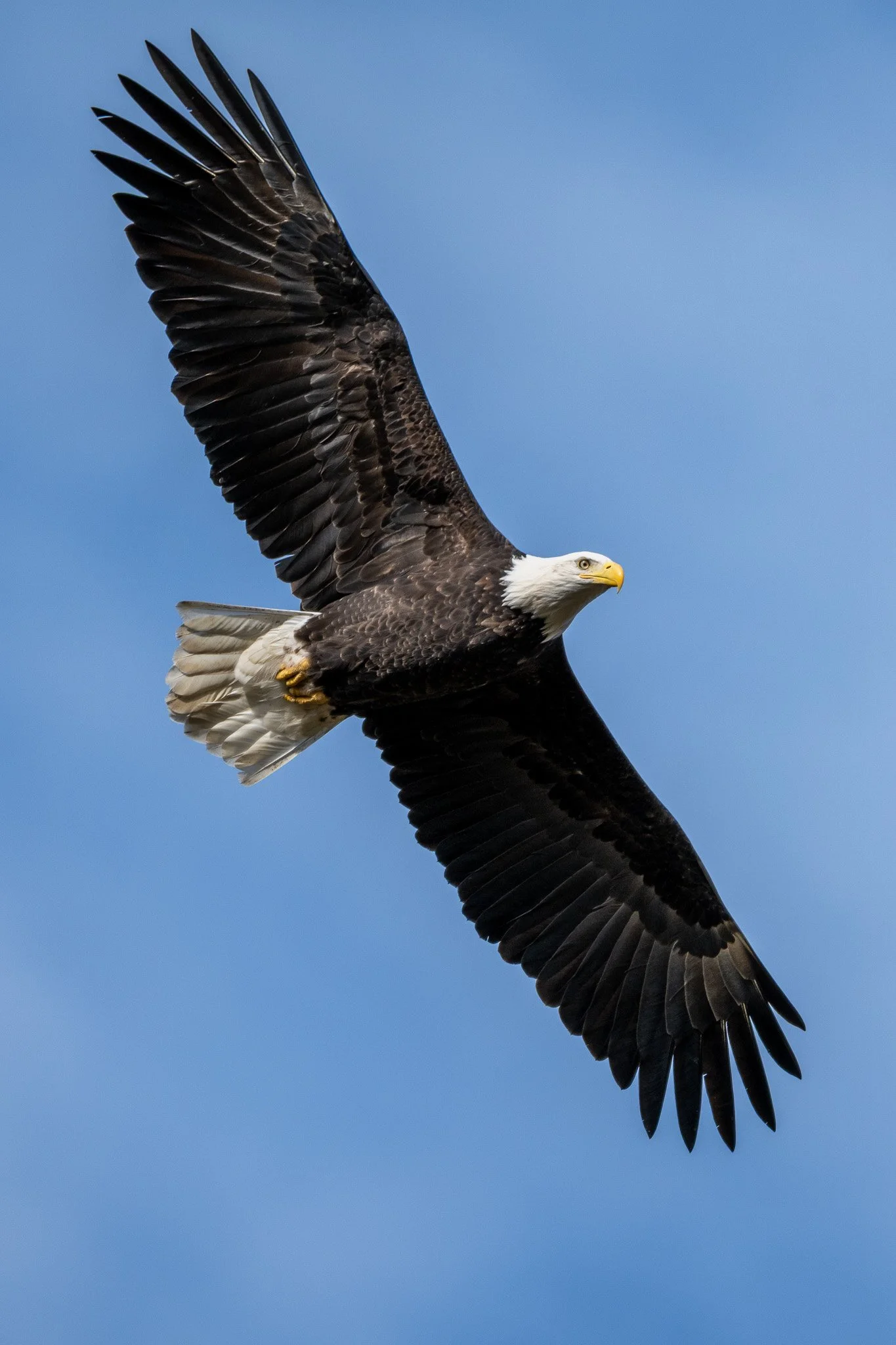 NZ7_6738-2.jpg