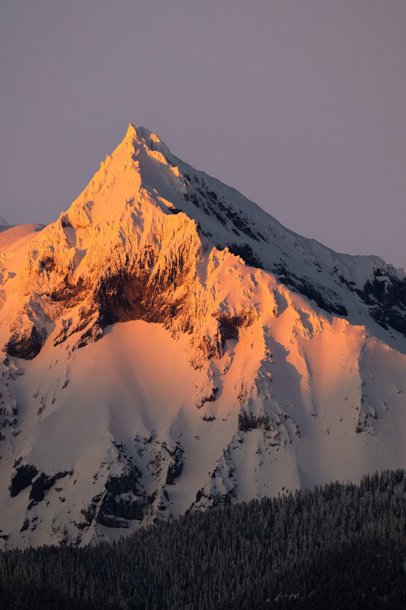 NZ7_0806-2.jpg
