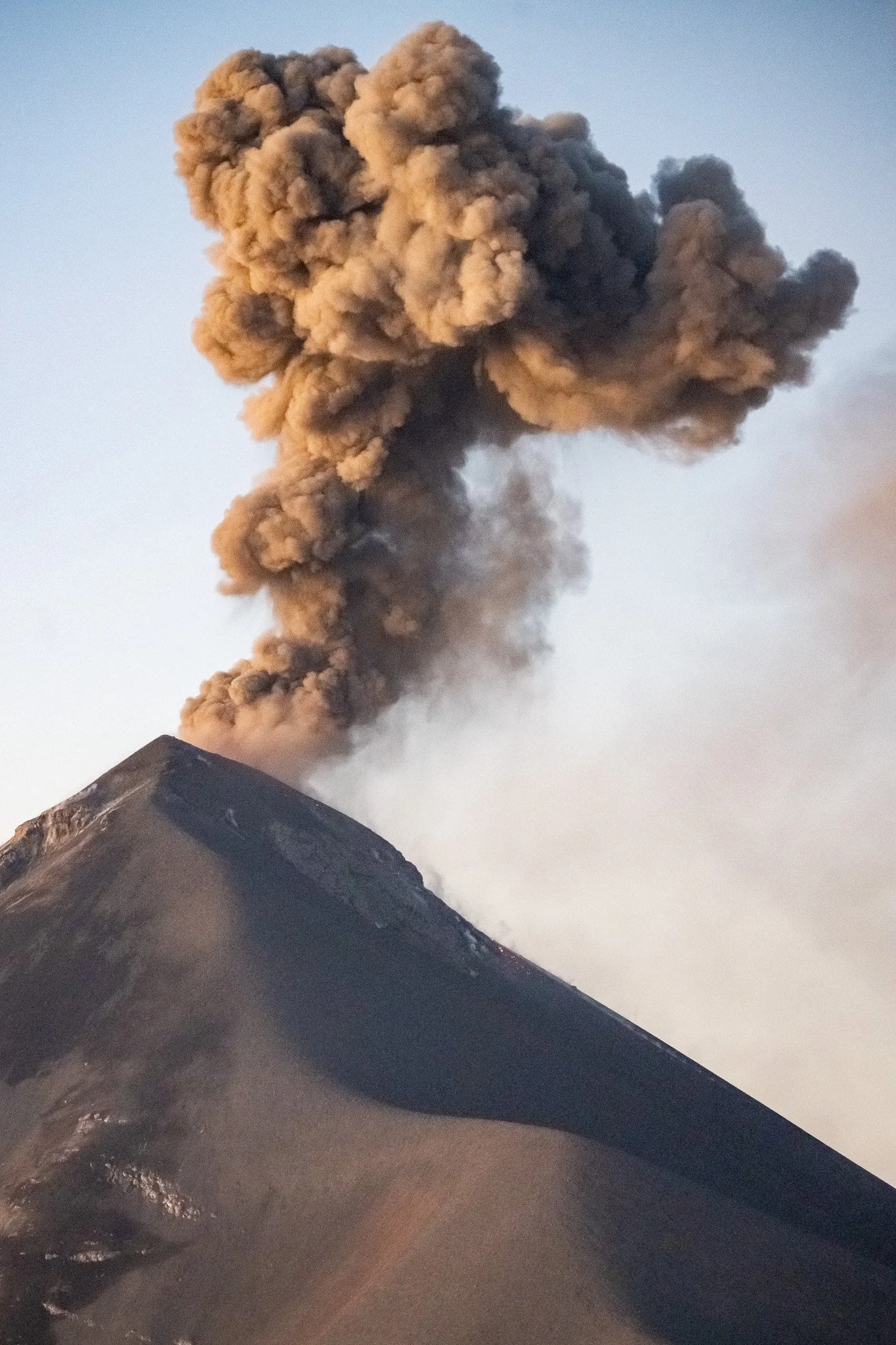 NZ7_9171-2.jpg
