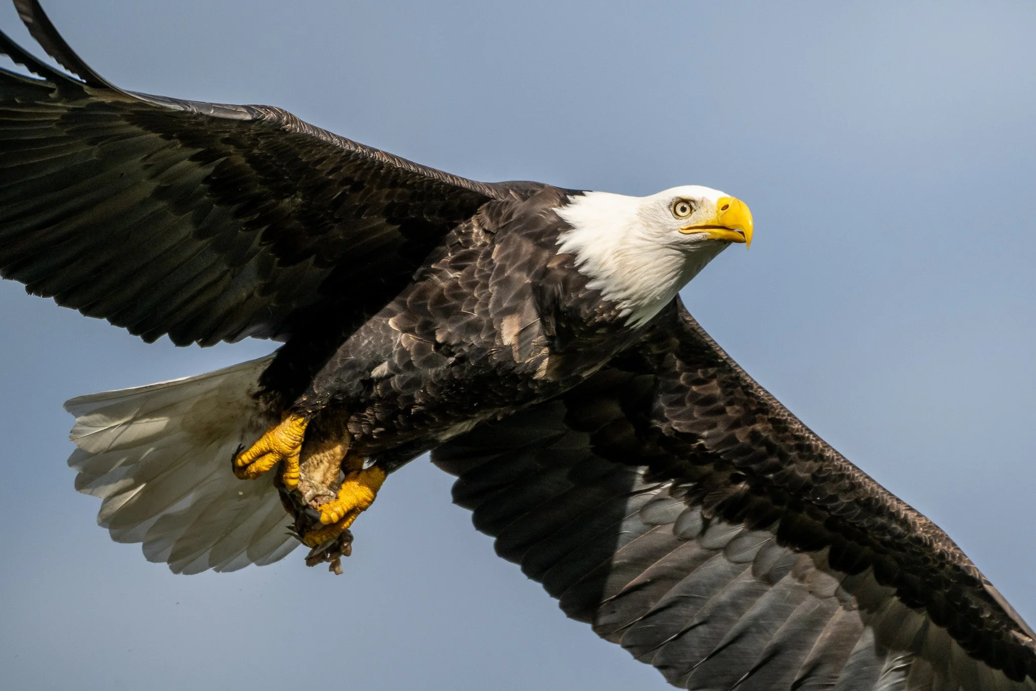 NZ7_6836-2.jpg