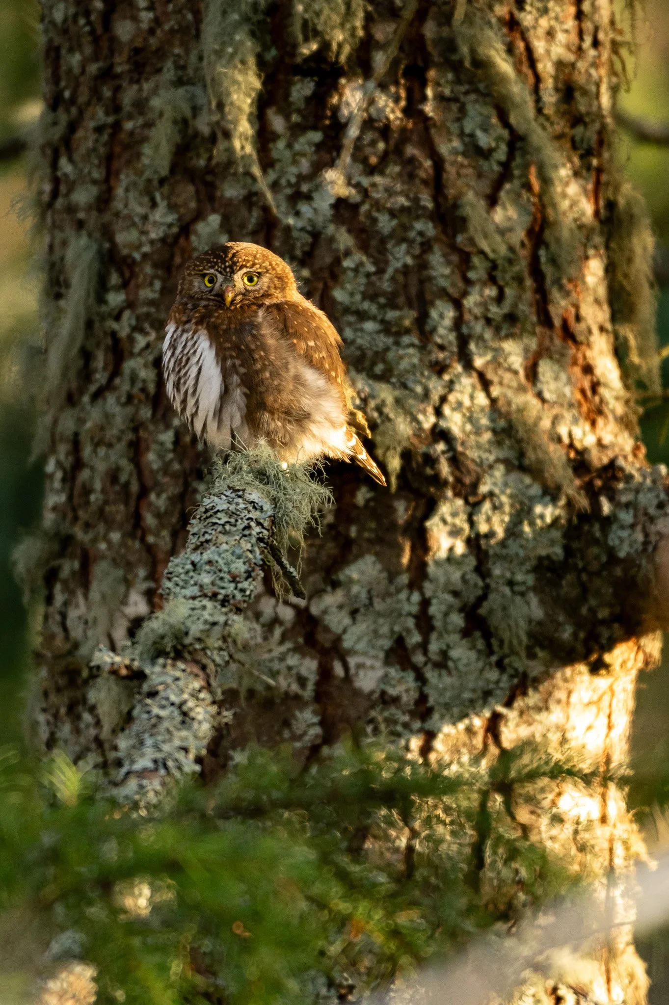 NZ7_1545-2.jpg