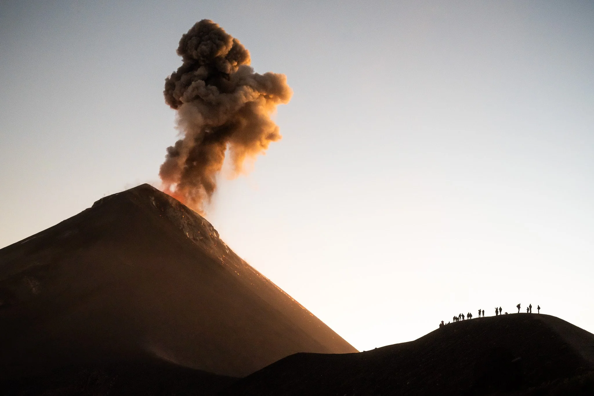 NZ7_8949-3.jpg