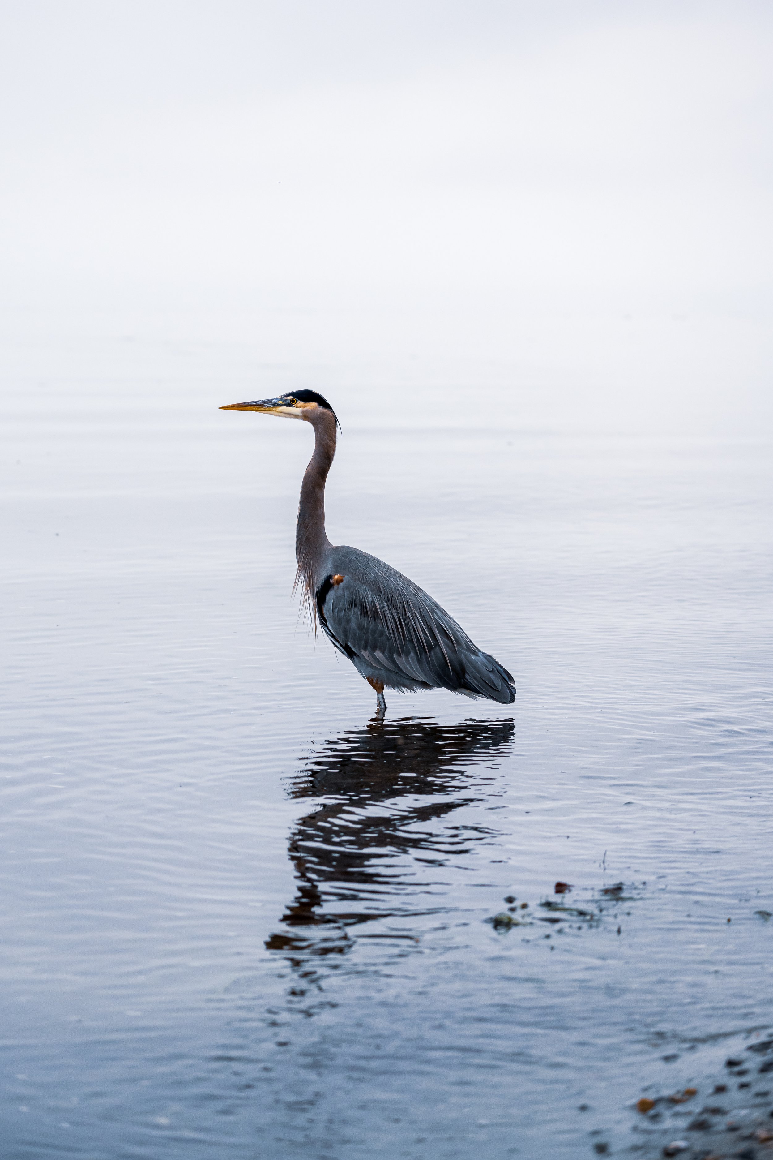 NZ7_0317-2.jpg