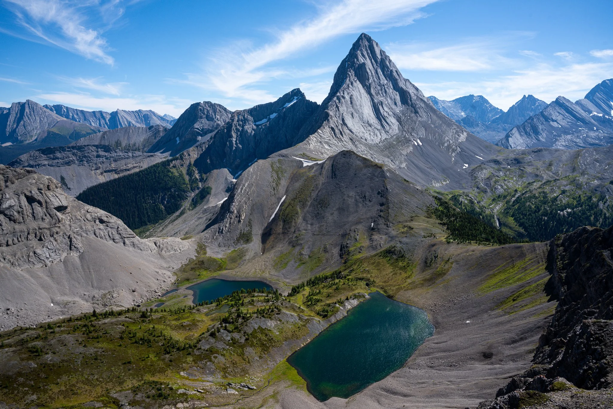 NZ7_8224.jpg