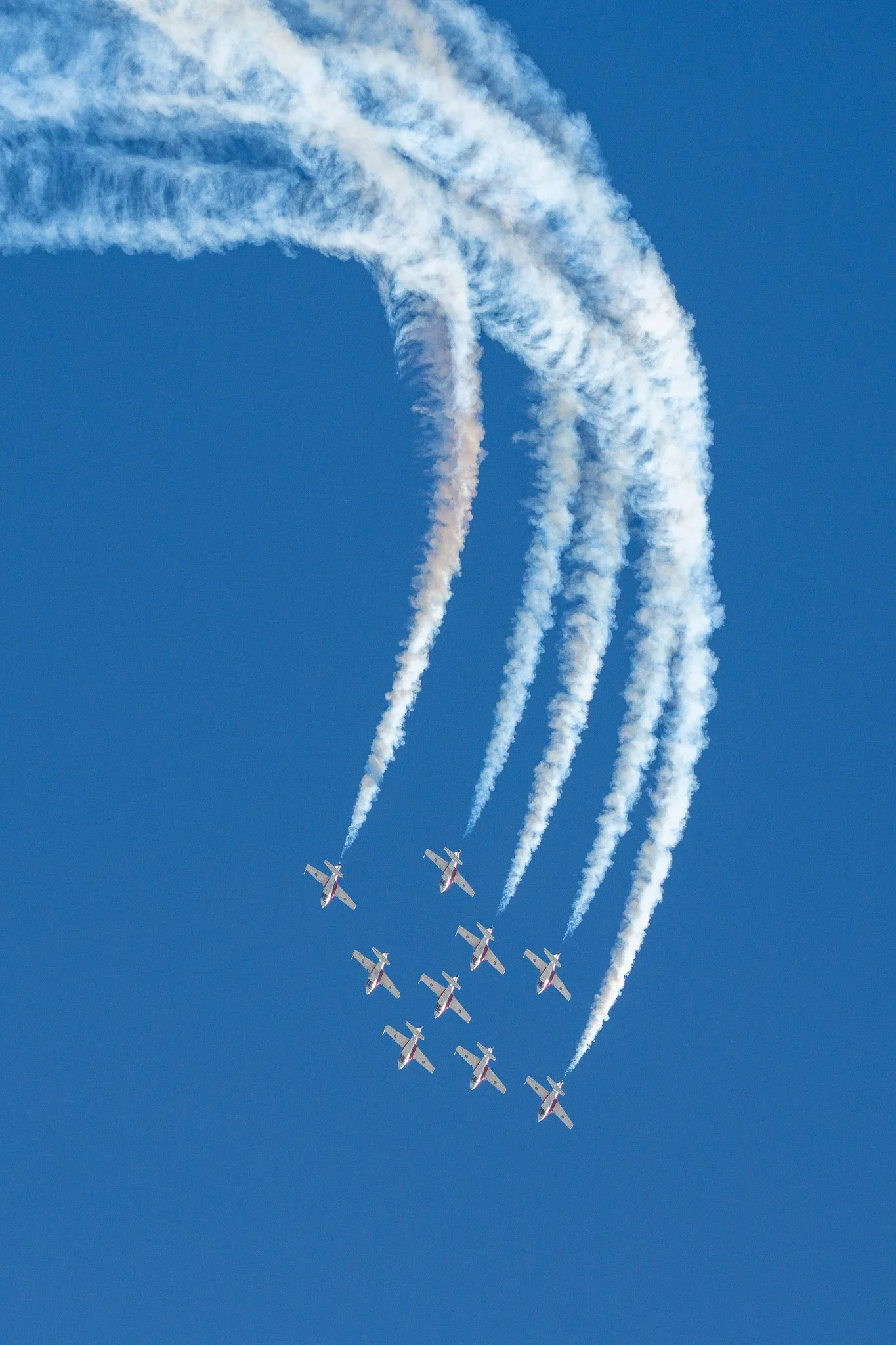 NZ7_0828-2.jpg