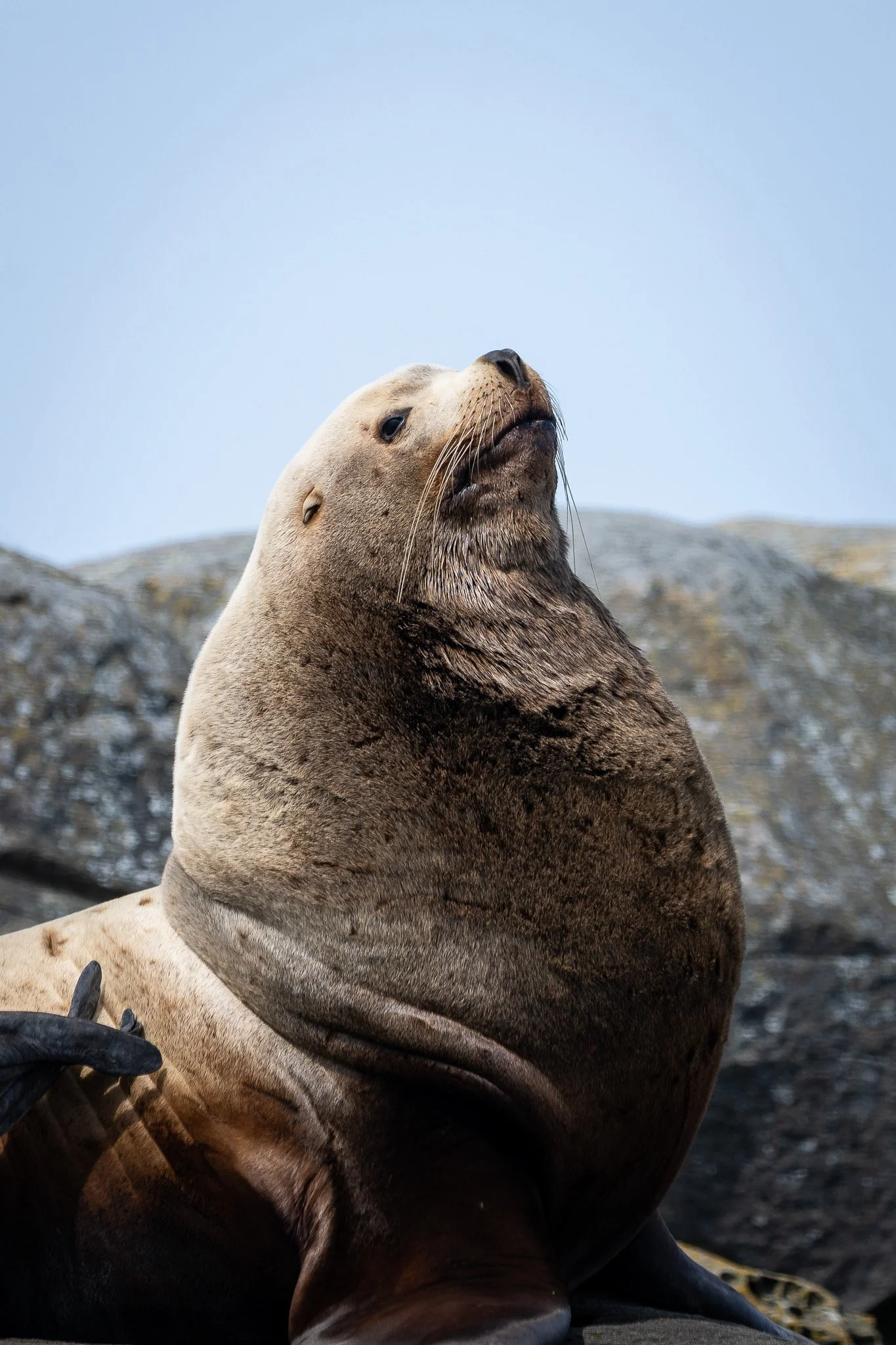 NZ7_0583-3.jpg