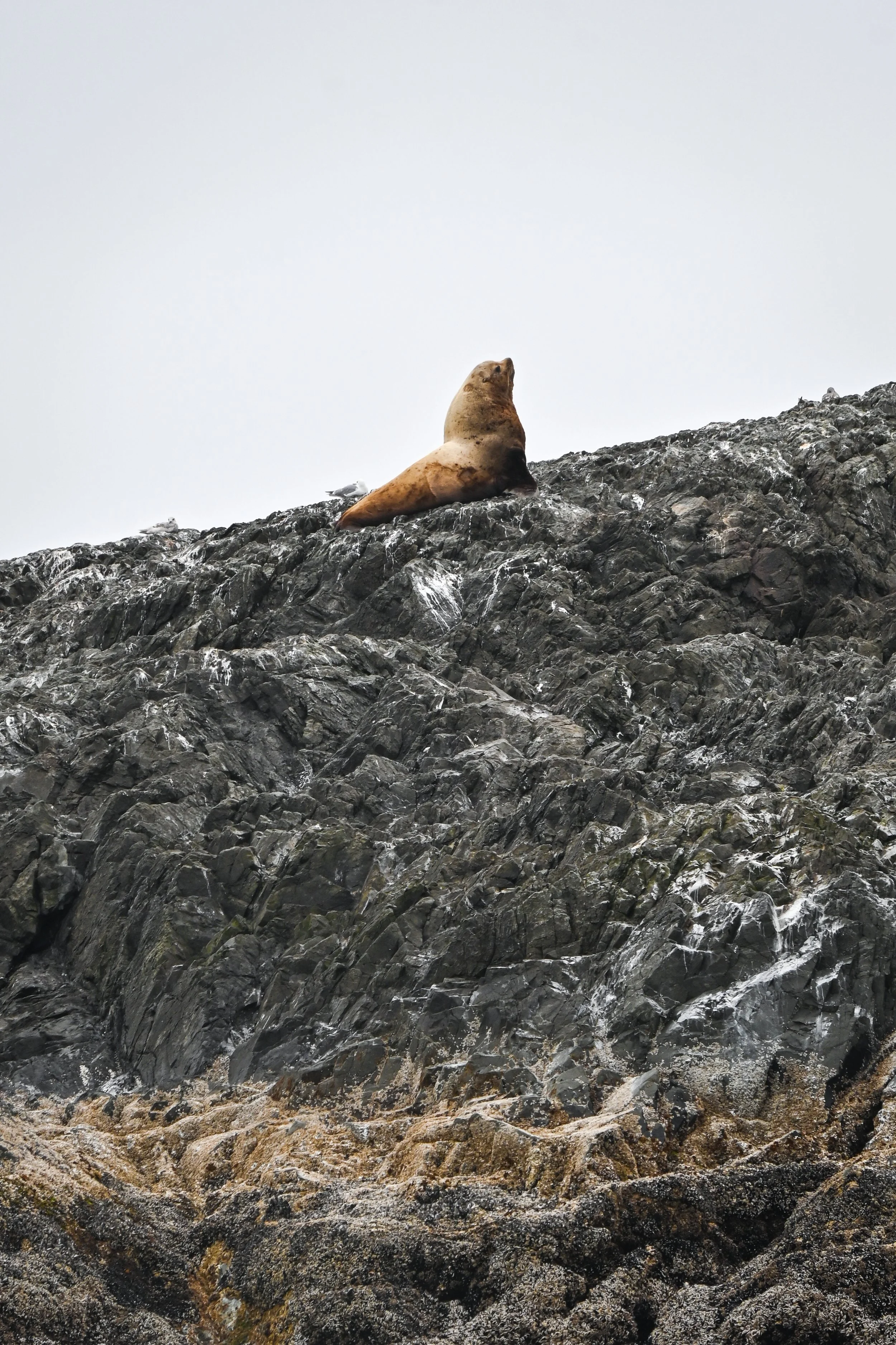 DSC_8585.jpg