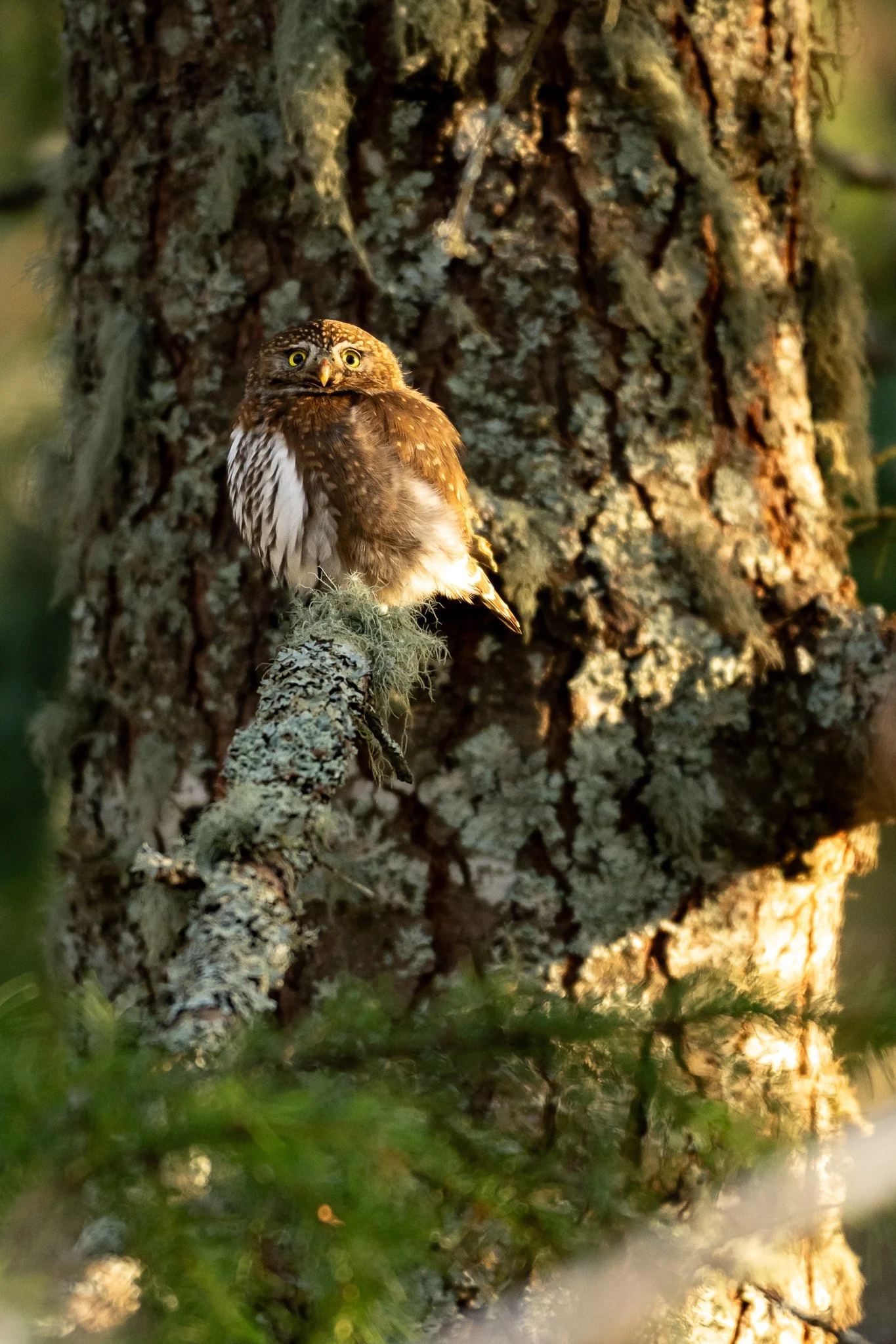 NZ7_1549-3.jpg
