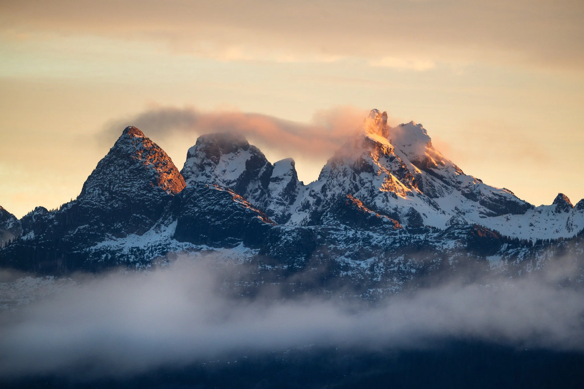 NZ7_6063-2.jpg