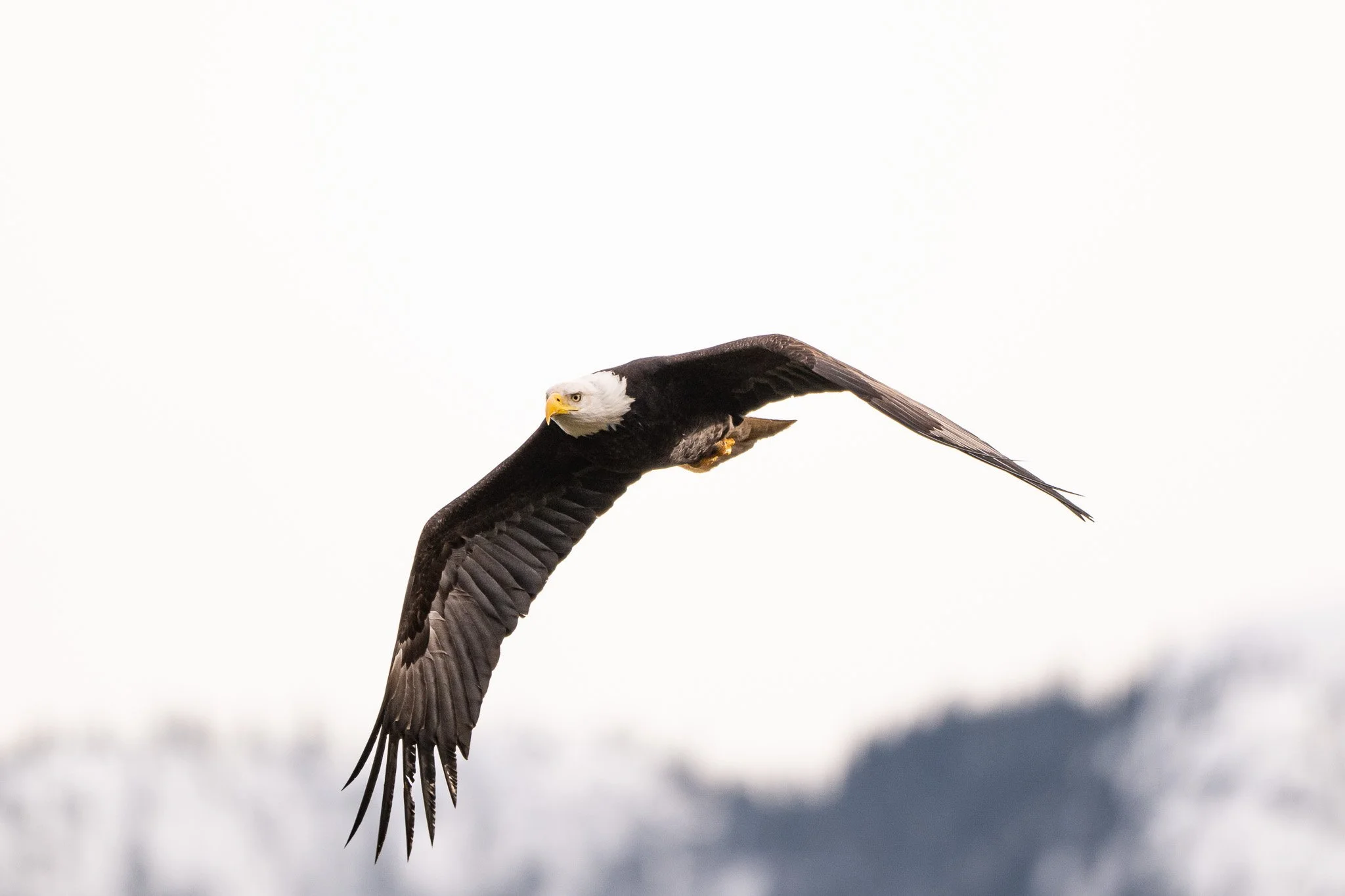DSC_1407-2.jpg
