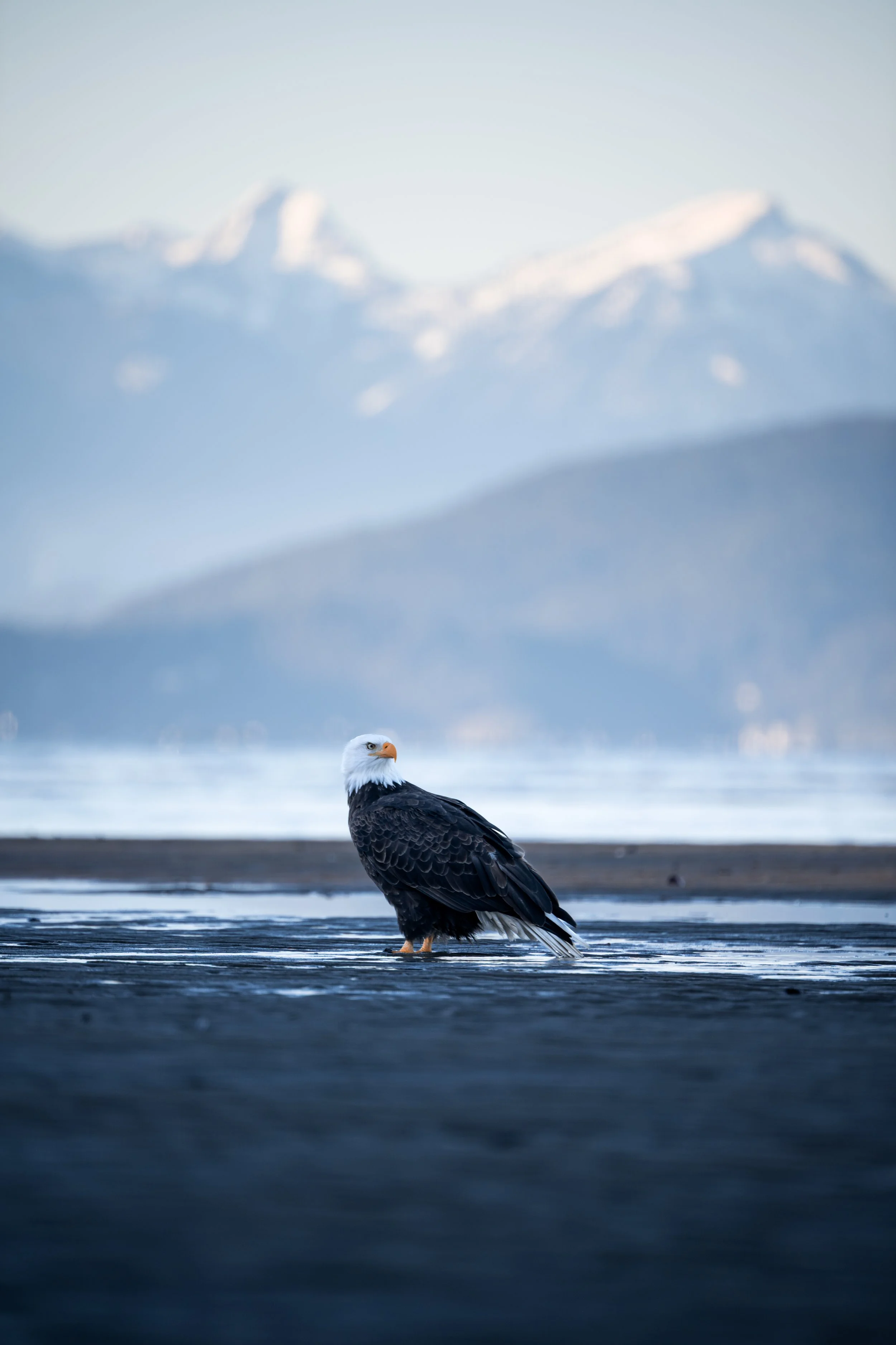 NZ7_3801-2.jpg