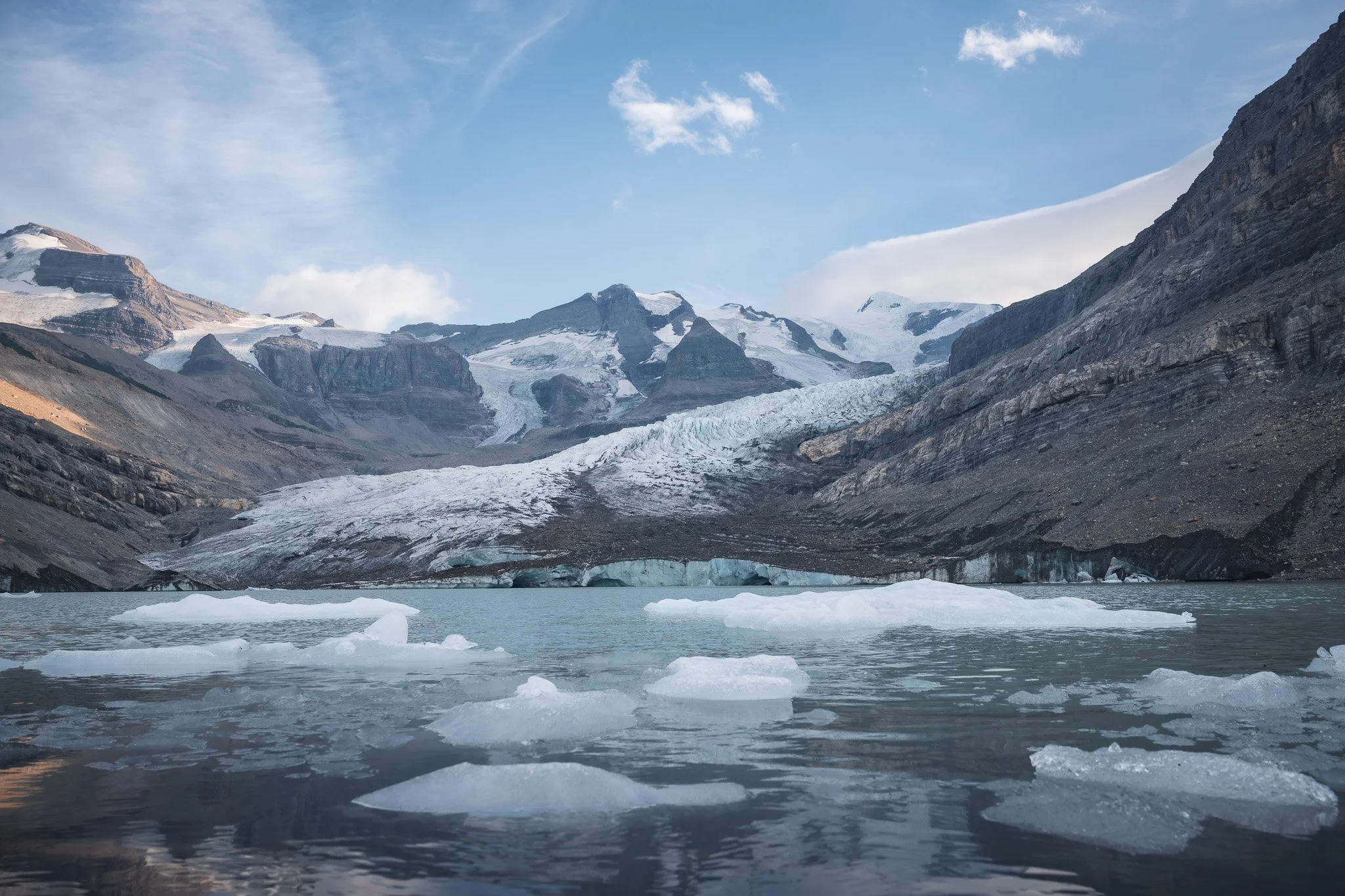 NZ7_3348.jpg