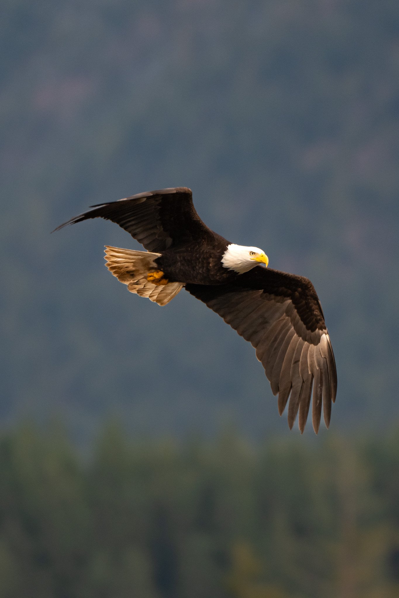 DSC_1460-3.jpg
