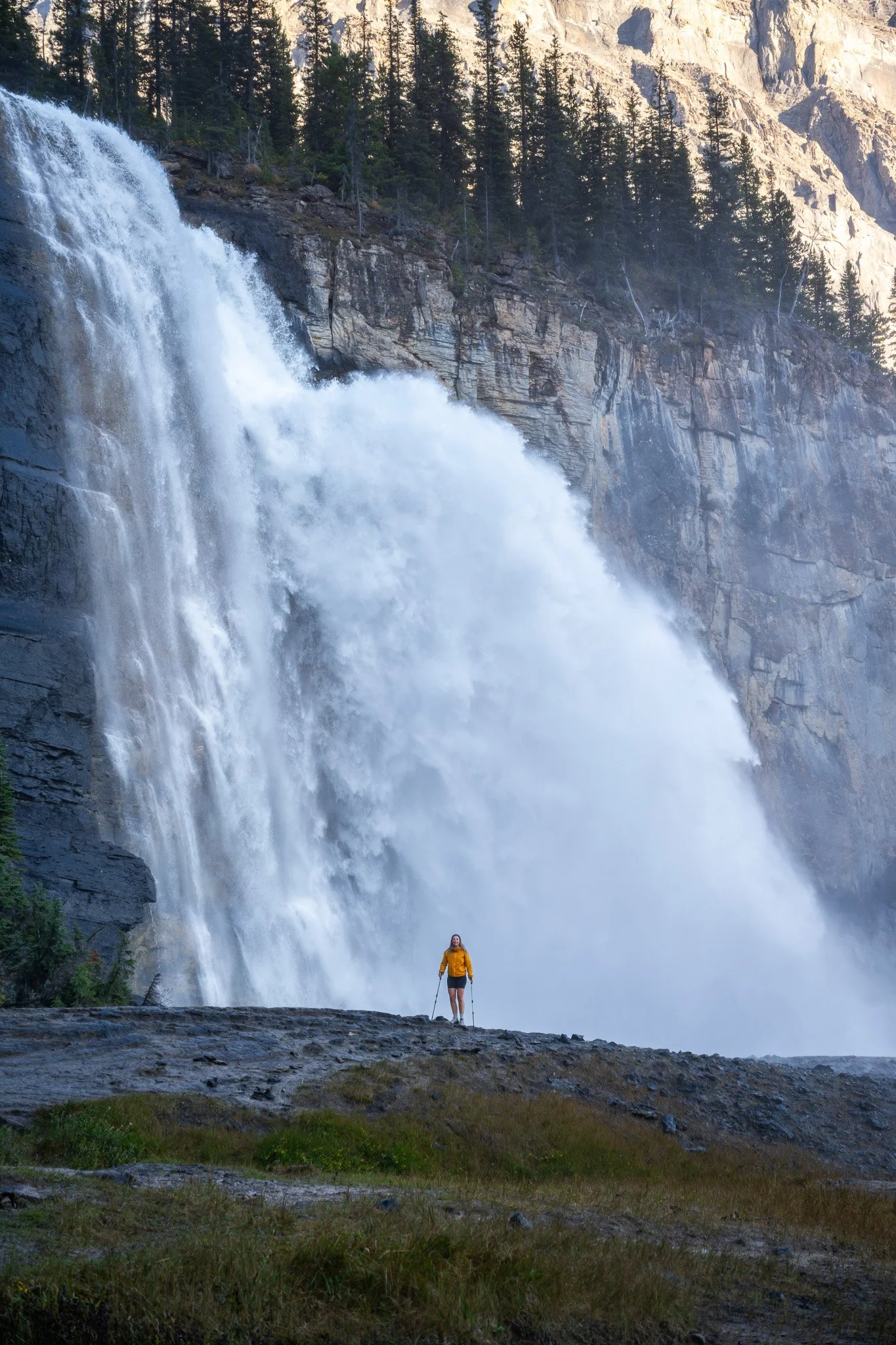 NZ7_2839-2.jpg