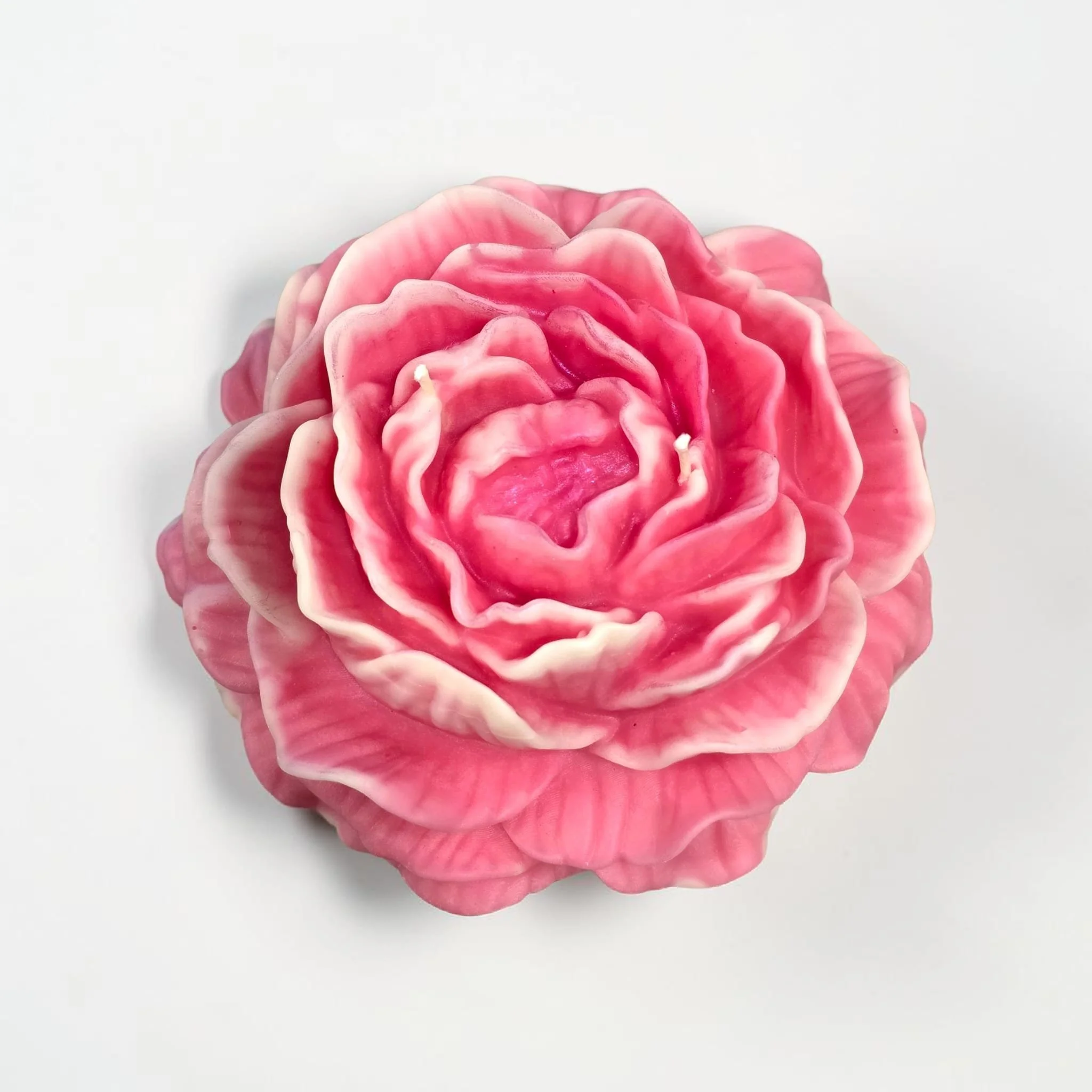 Peonia XL