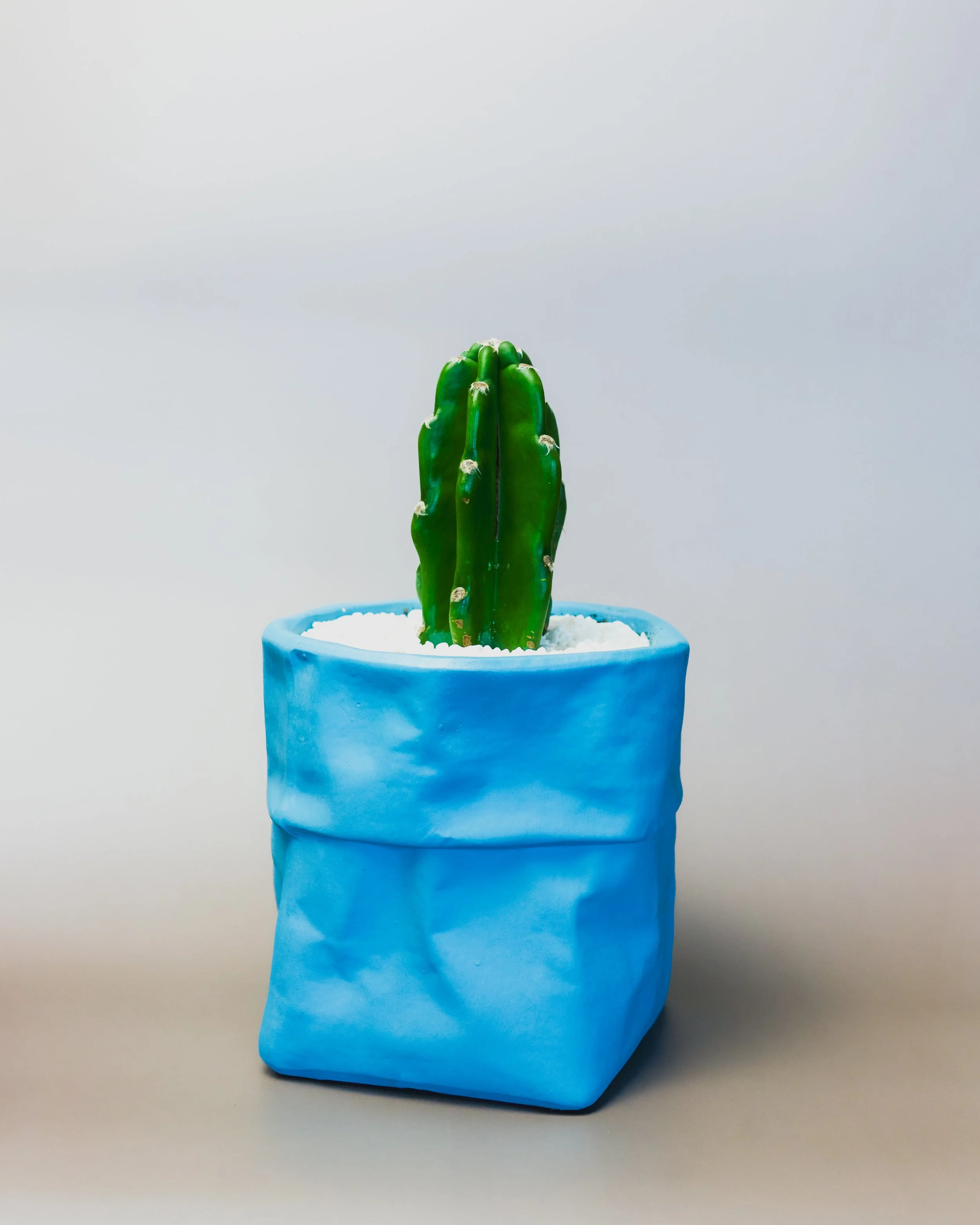 CaptureOne2569-Edit.jpg