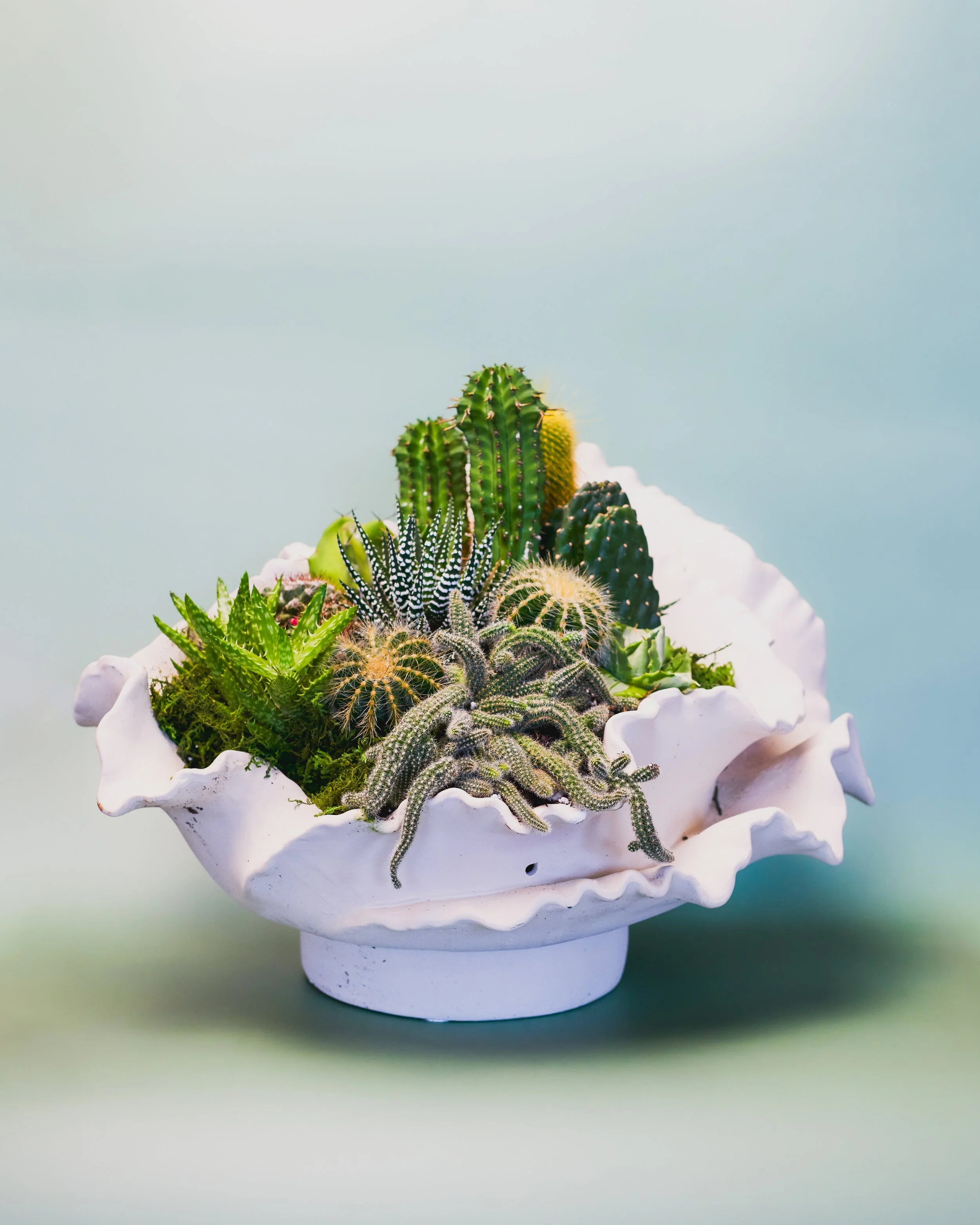 CaptureOne8467-Edit.jpg