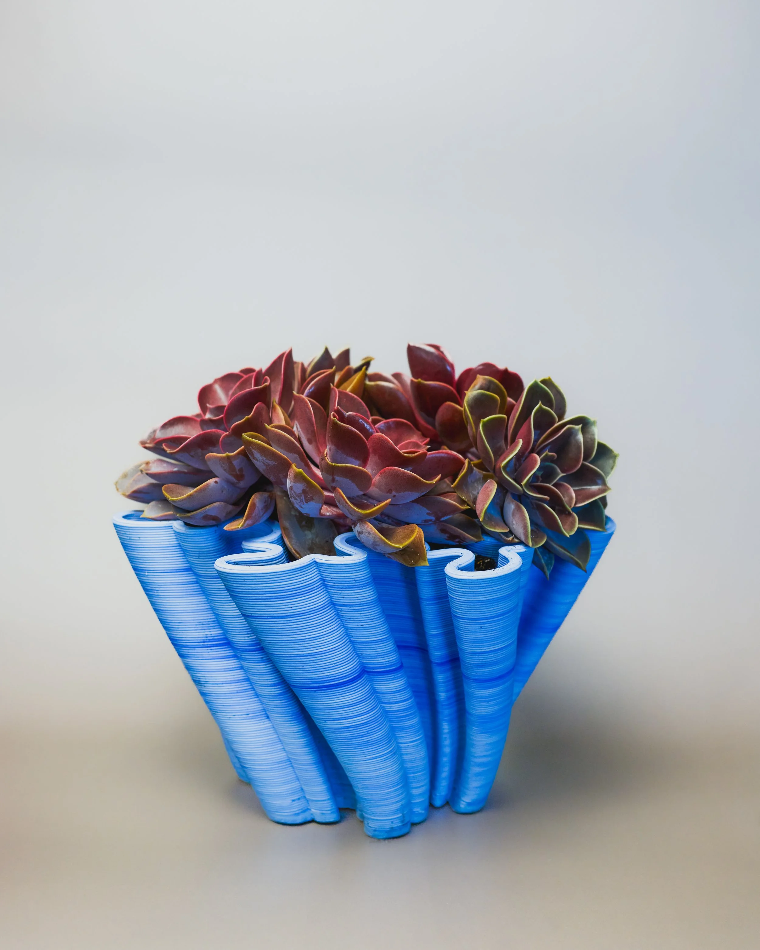 CaptureOne4618-Edit.jpg