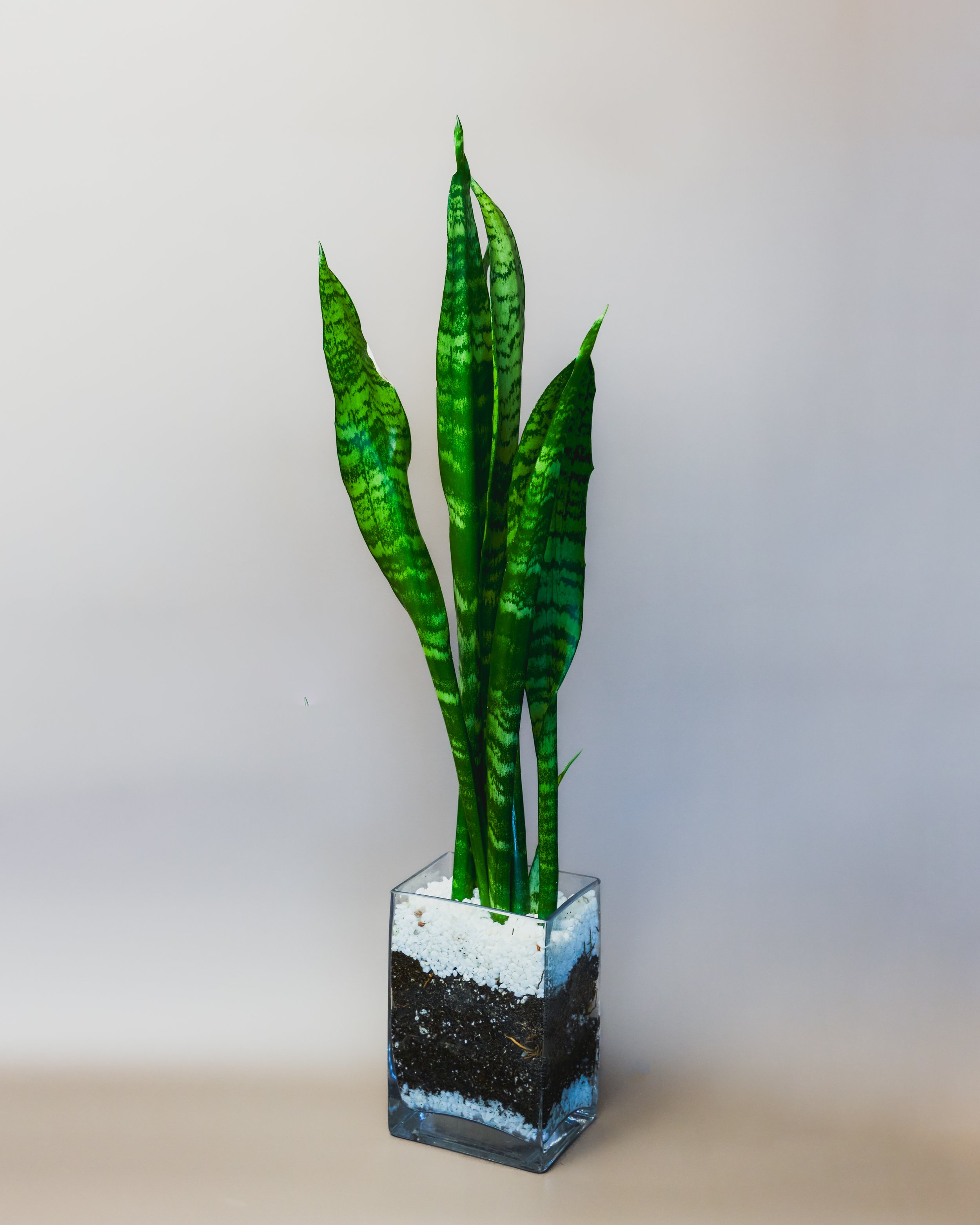 CaptureOne6670-Edit.jpg