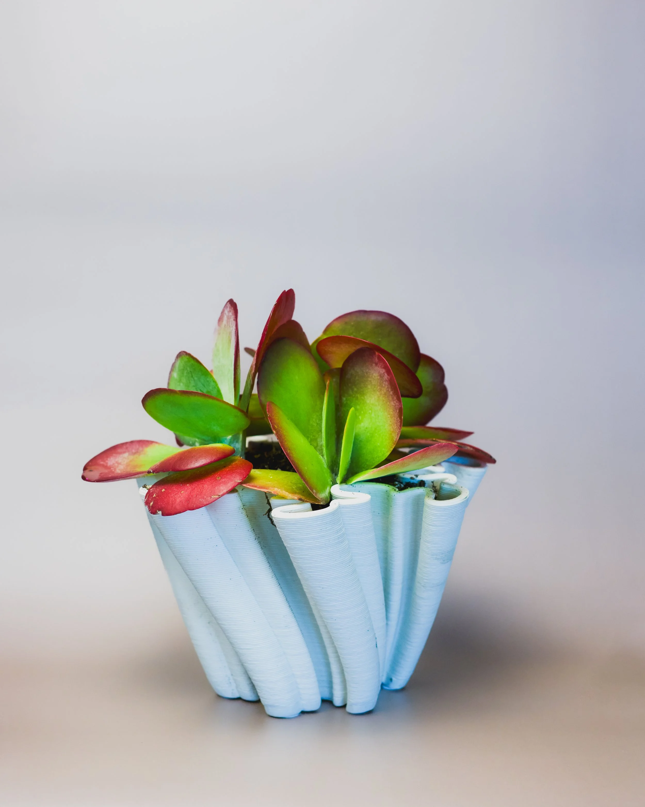 CaptureOne1543-Edit.jpg