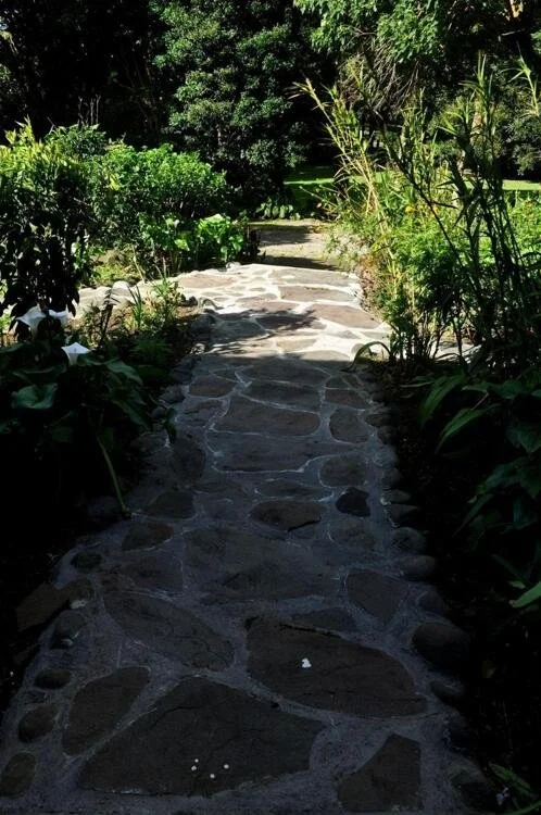 el-bosque-trails-eco-lodge-general-dd225a9.jpg