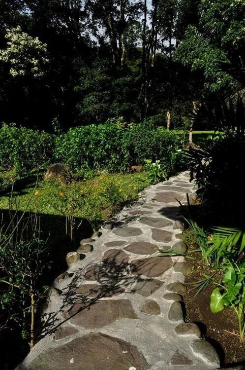 el-bosque-trails-eco-lodge-general-dd225a8.jpg