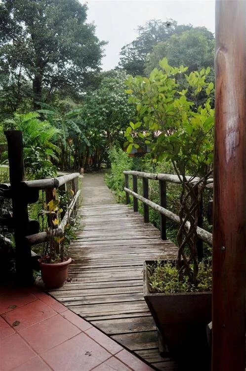 el-bosque-trails-eco-lodge-general-dd22598.jpg