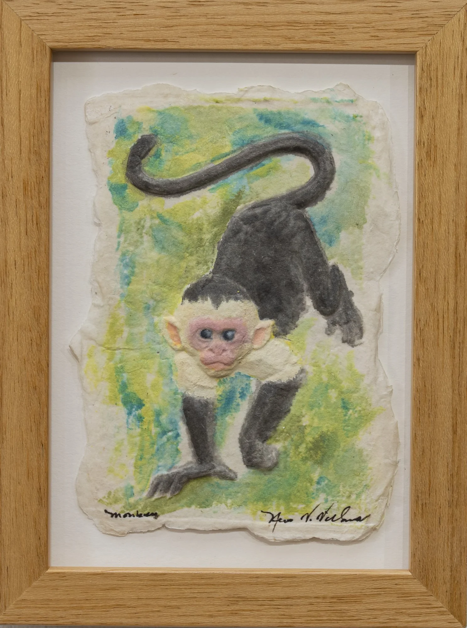 Monkey (Capuchin)