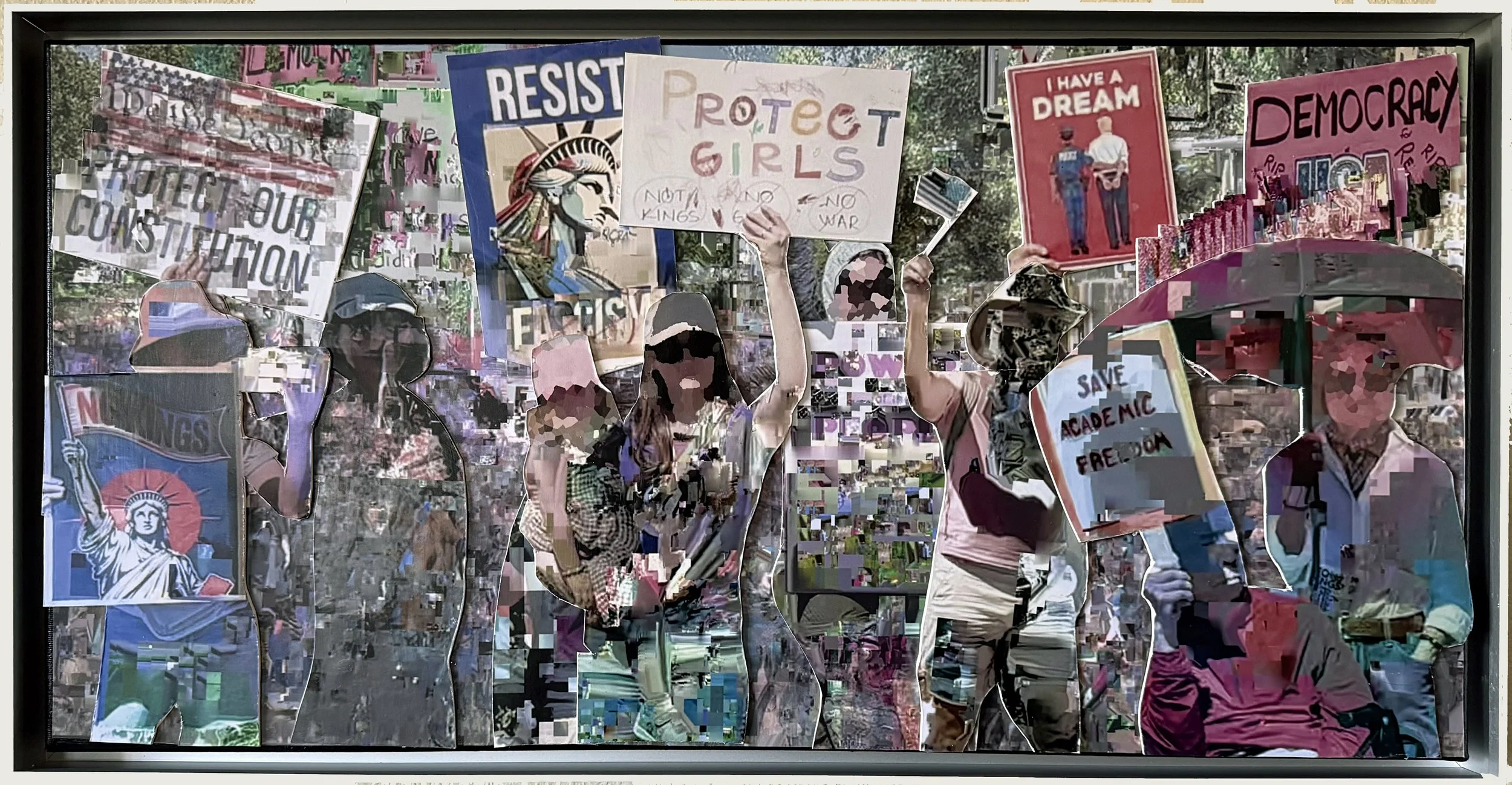 KD_Protest_Collage.jpg