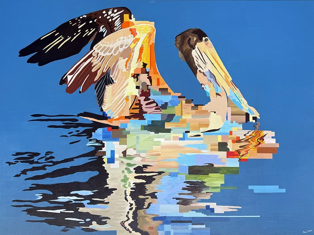 California Brown Pelican #03