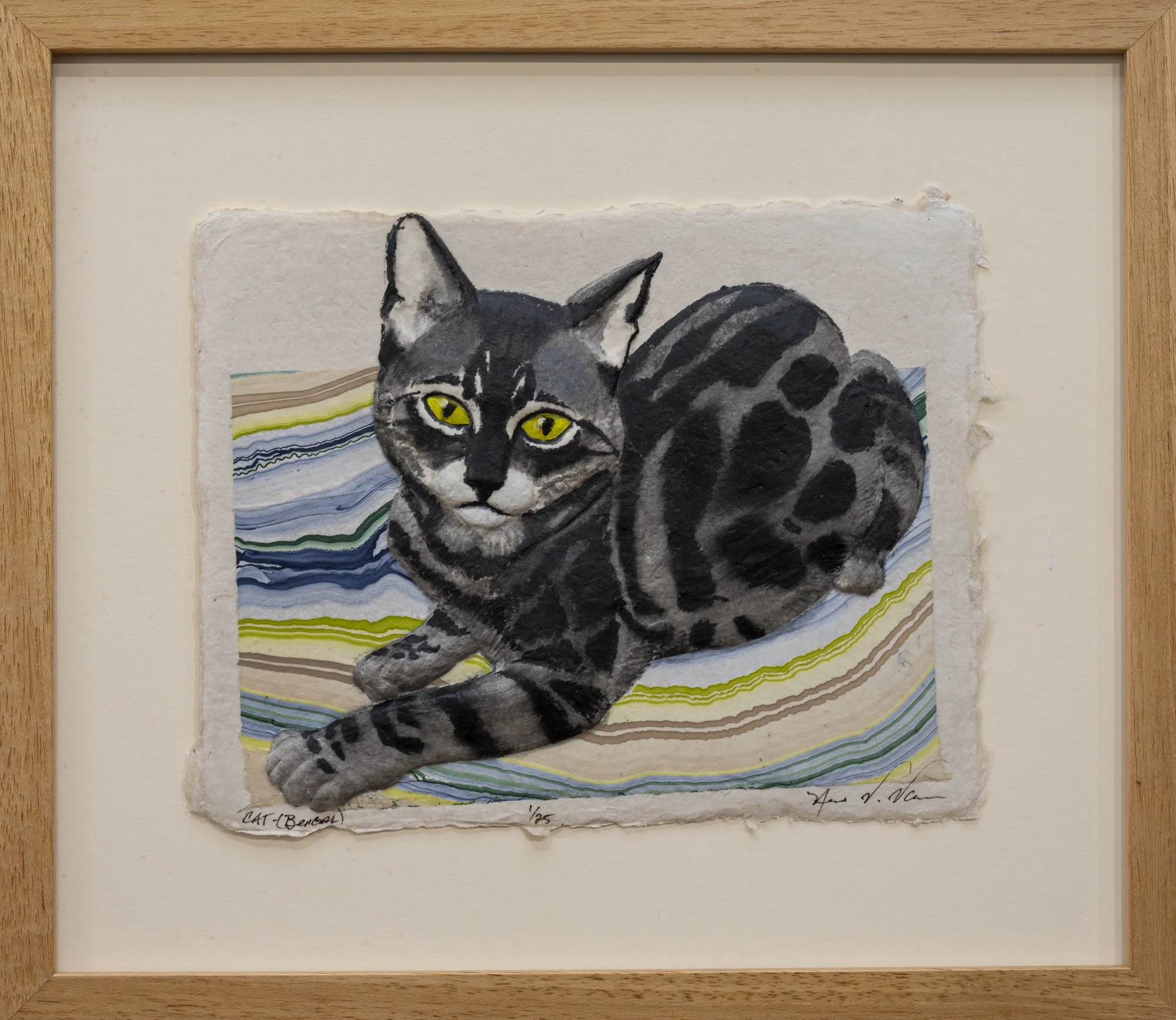 Cat-Bengal