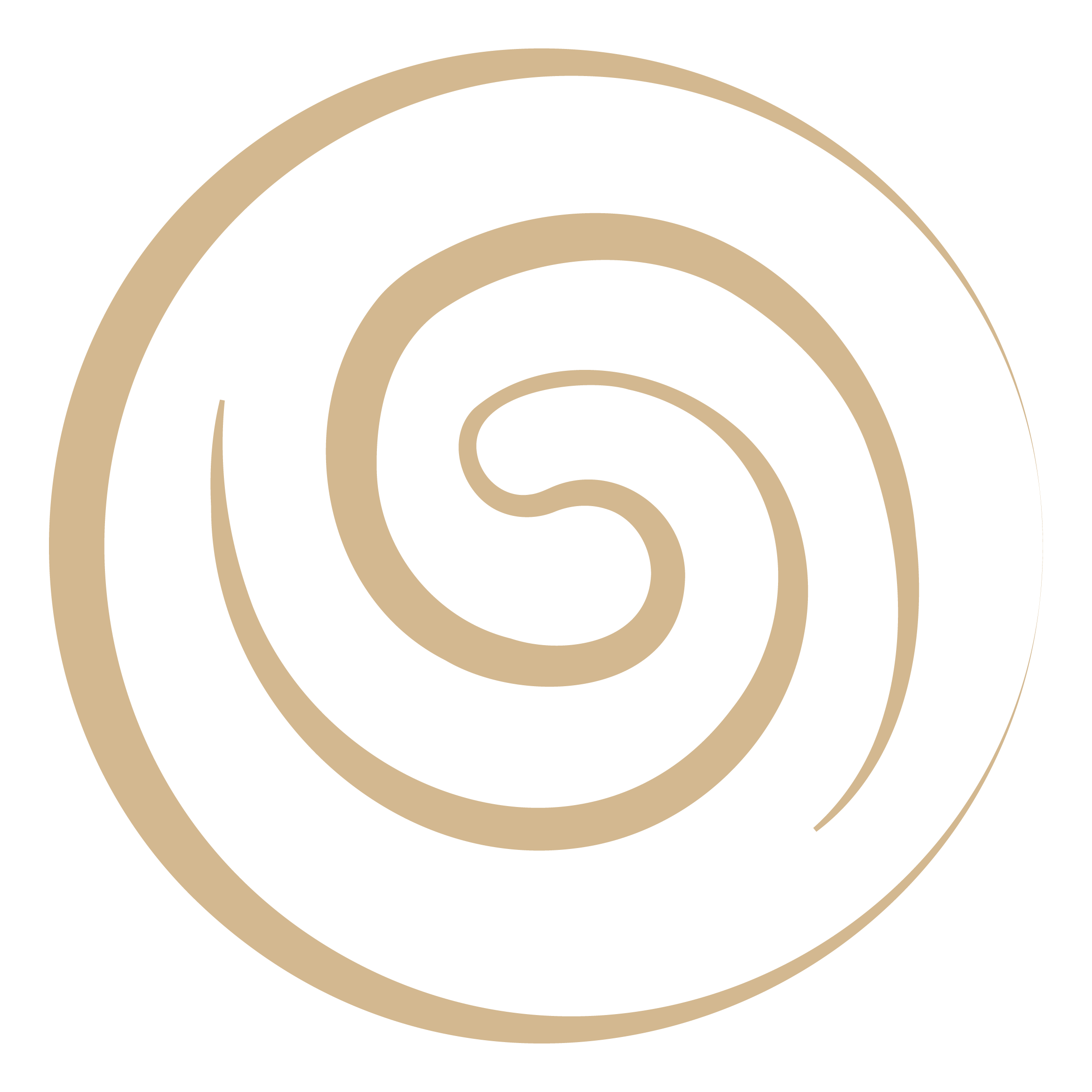 spiral icon