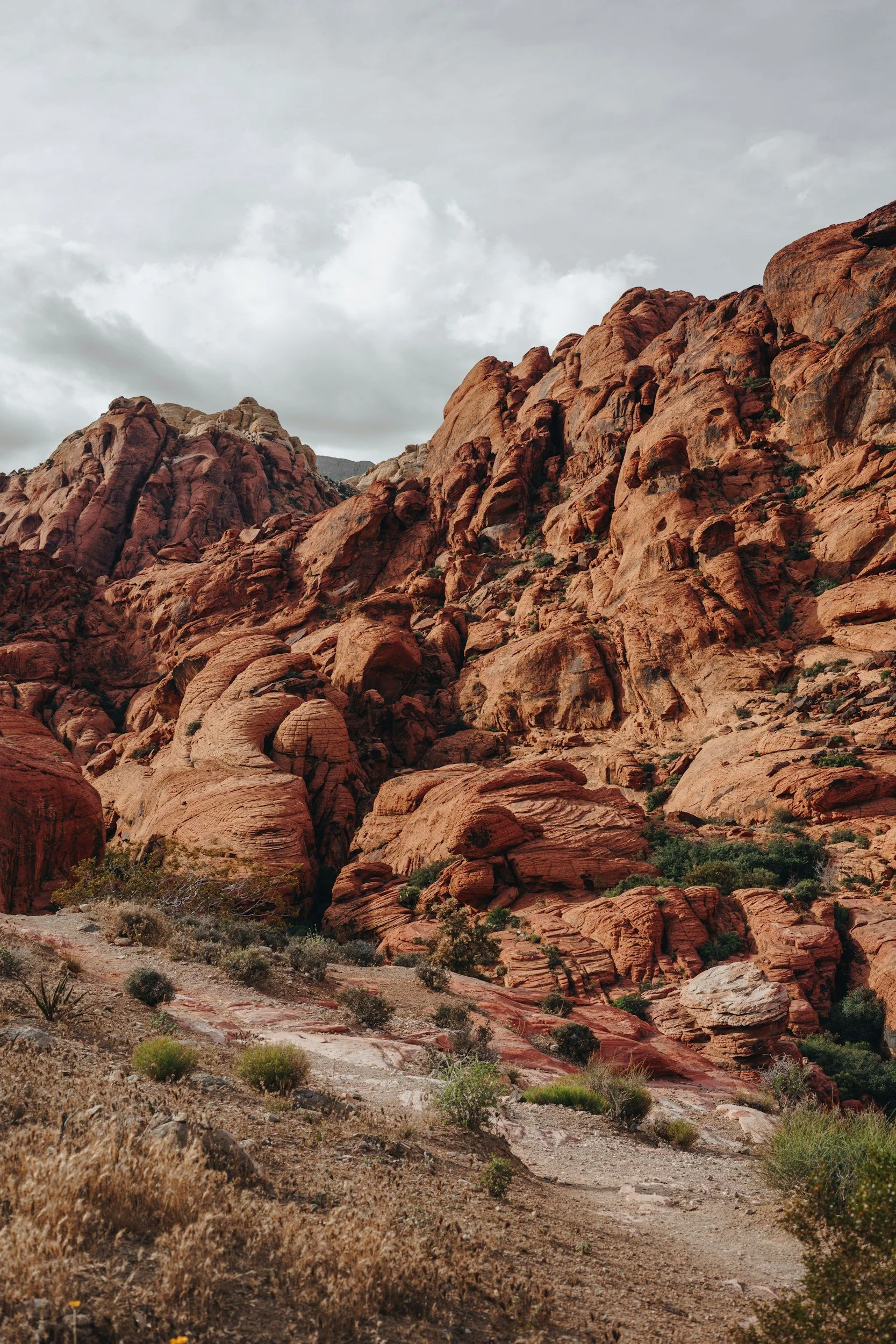 A rugged desert landscape with red sandstone rock formations under a mostly cloudy sky, sparse vegetation in the foreground.