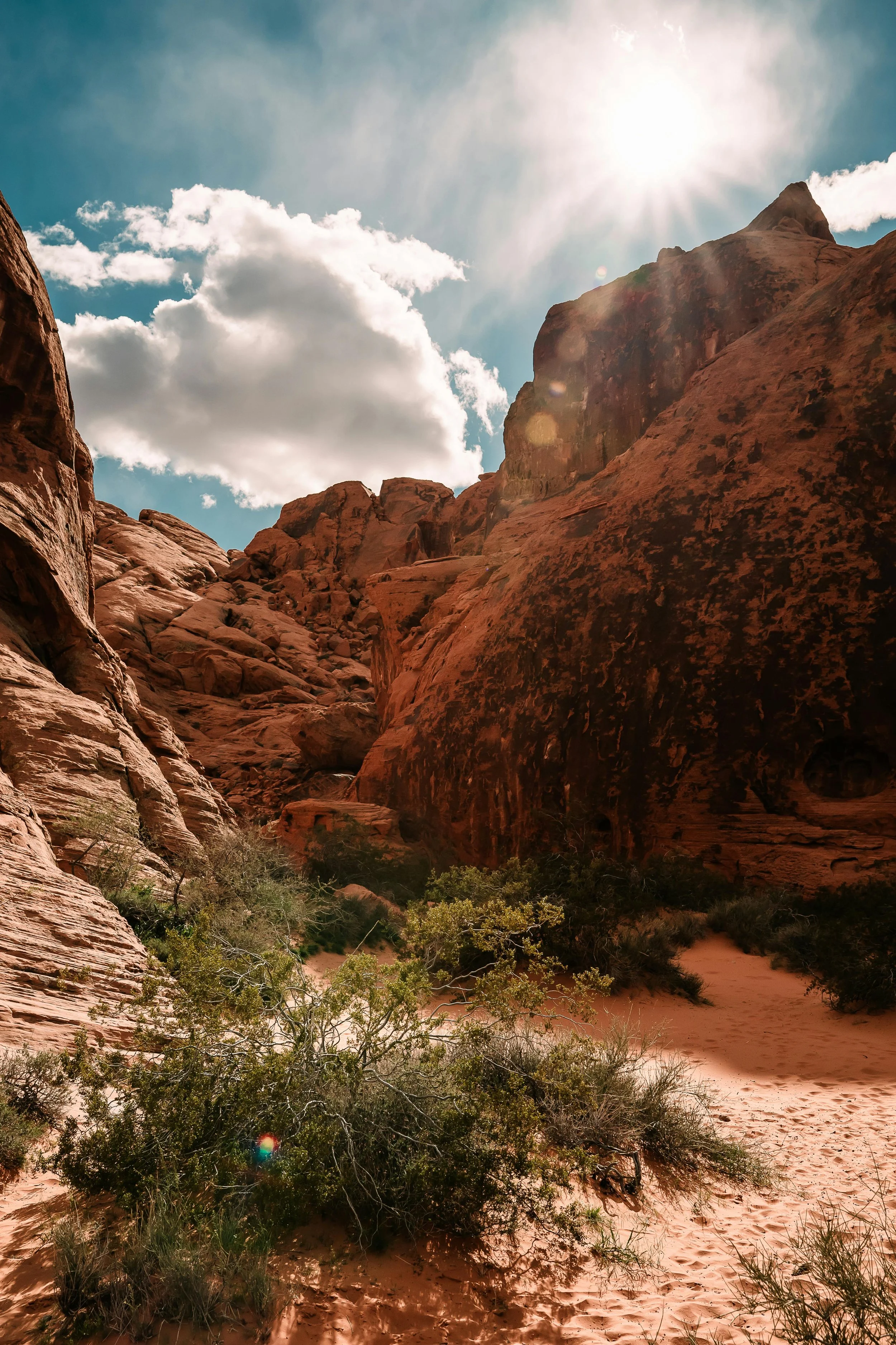 Red rock canyon with a bright sun and scattered clouds, desert landscape with green bushes and sandy ground.