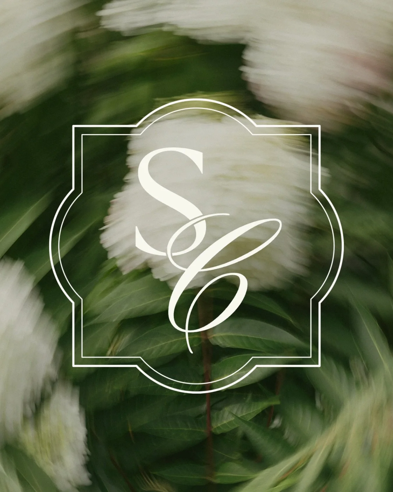 COMING SOON!! 

The Social Club. 

Crafting digital presence with intention