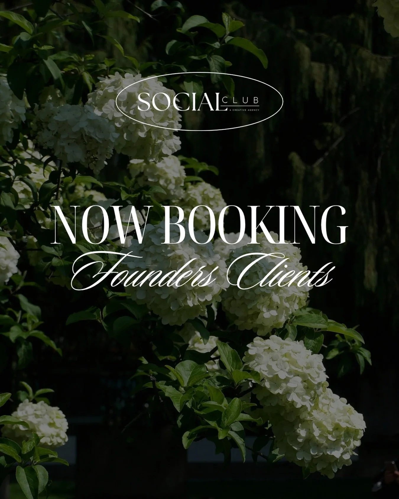 We are officially opening a limited number of Founding Client spots in the Club.

If you&rsquo;ve been putting off your branding, logo, website, or social media because you weren&rsquo;t sure where to start, this is where we come in!

As a Founding C