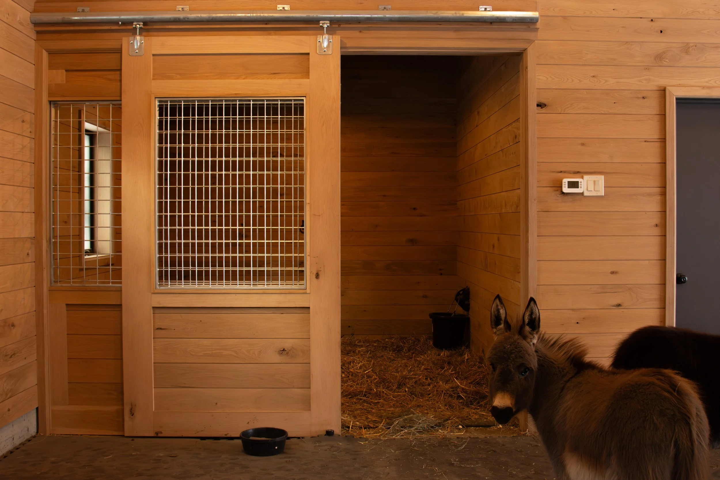 custom stall for livestock with white oak sliding door, galvanized grills and automatic waterer