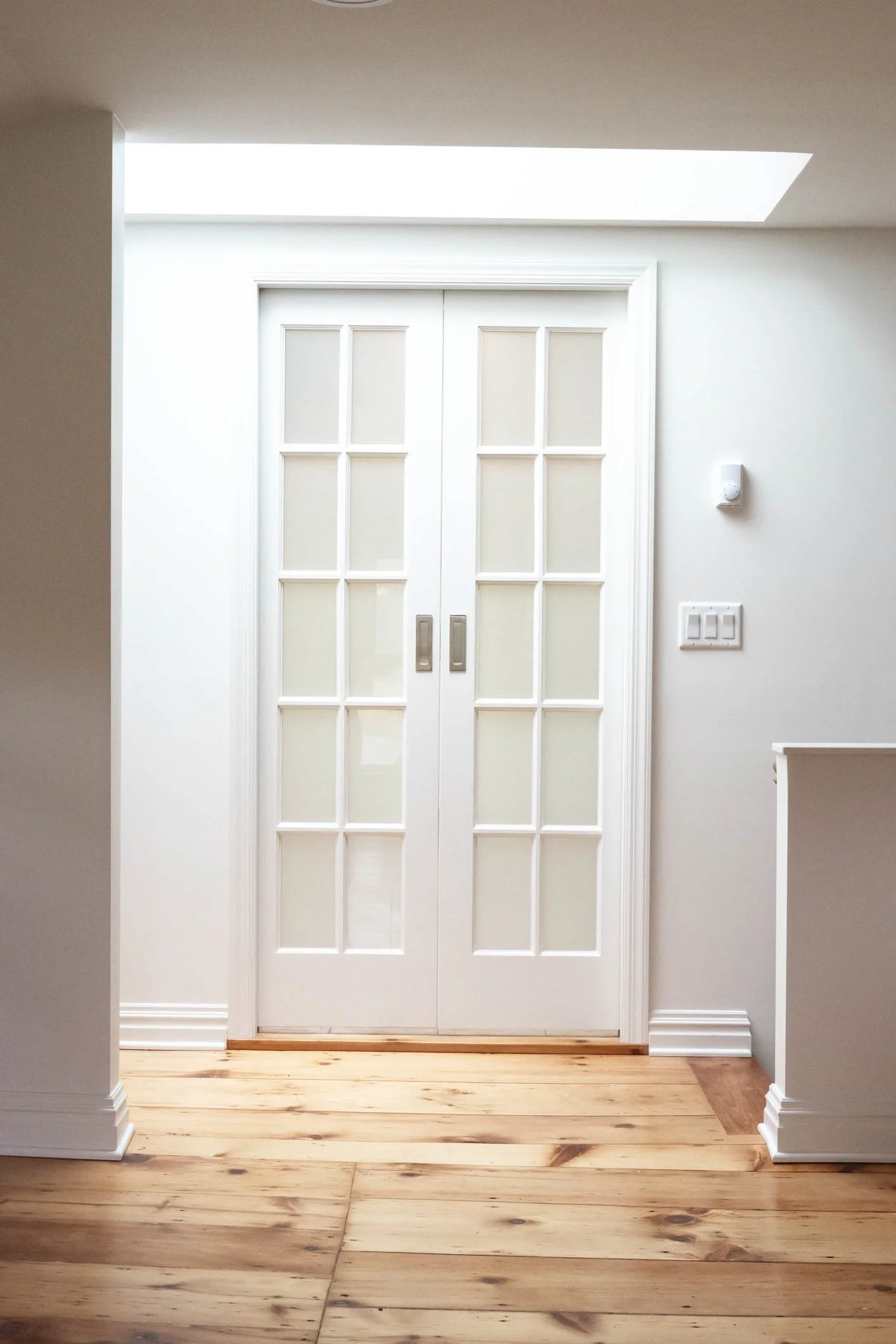 frosted glass double pocket door, hardwood floor, skylight