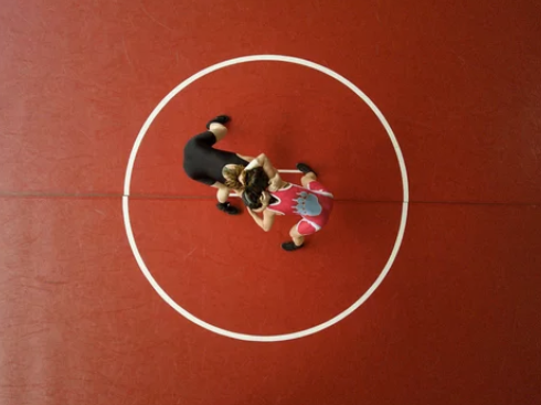 A wrestler and a referee in the center of a wrestling mat, viewed from above.