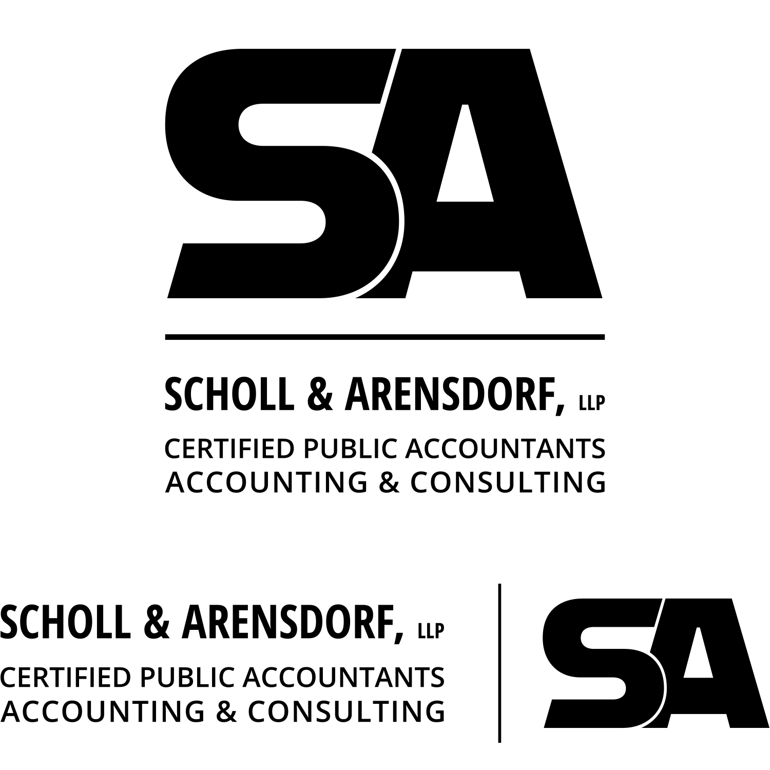 SA_1.png