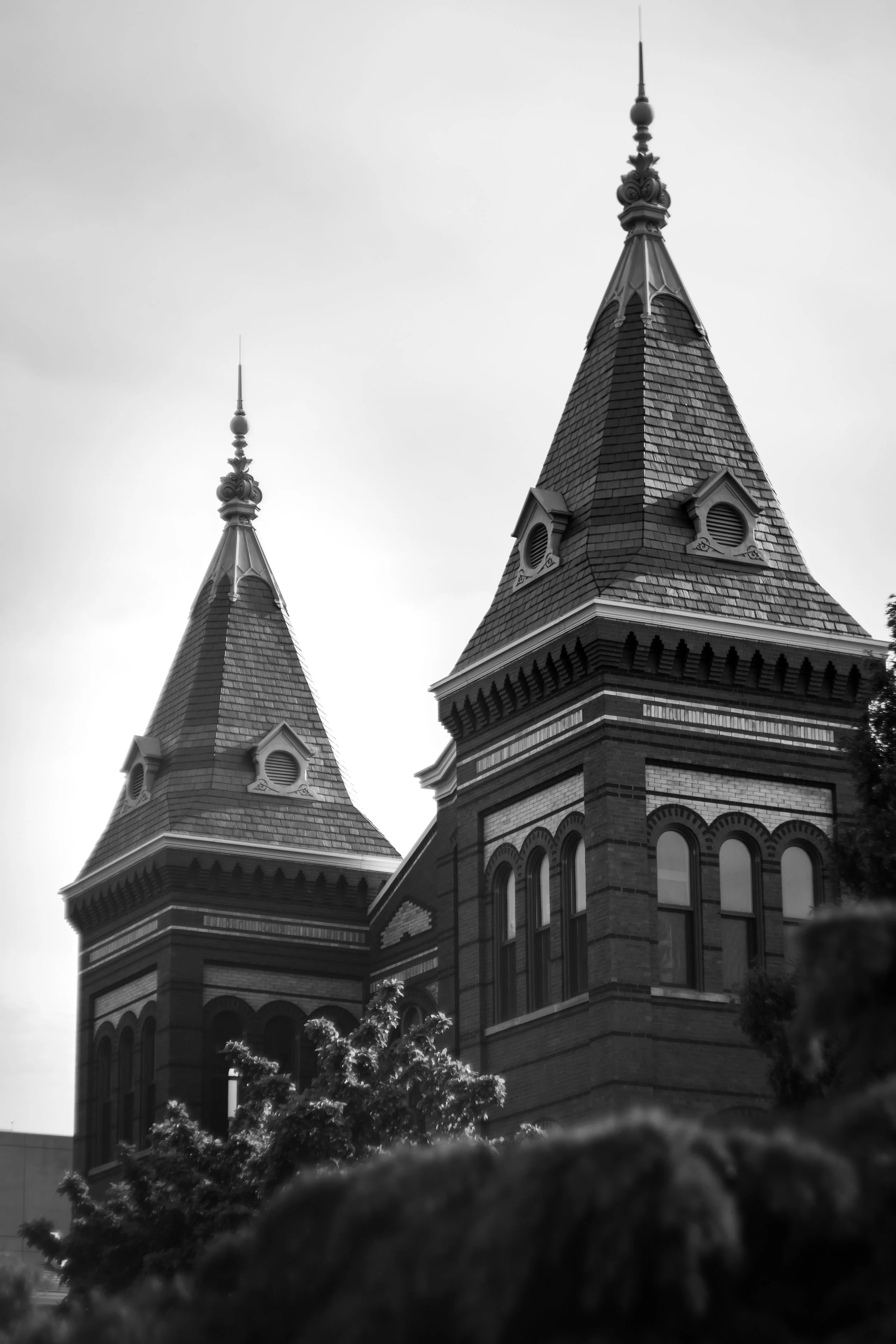 DSC08143.jpg