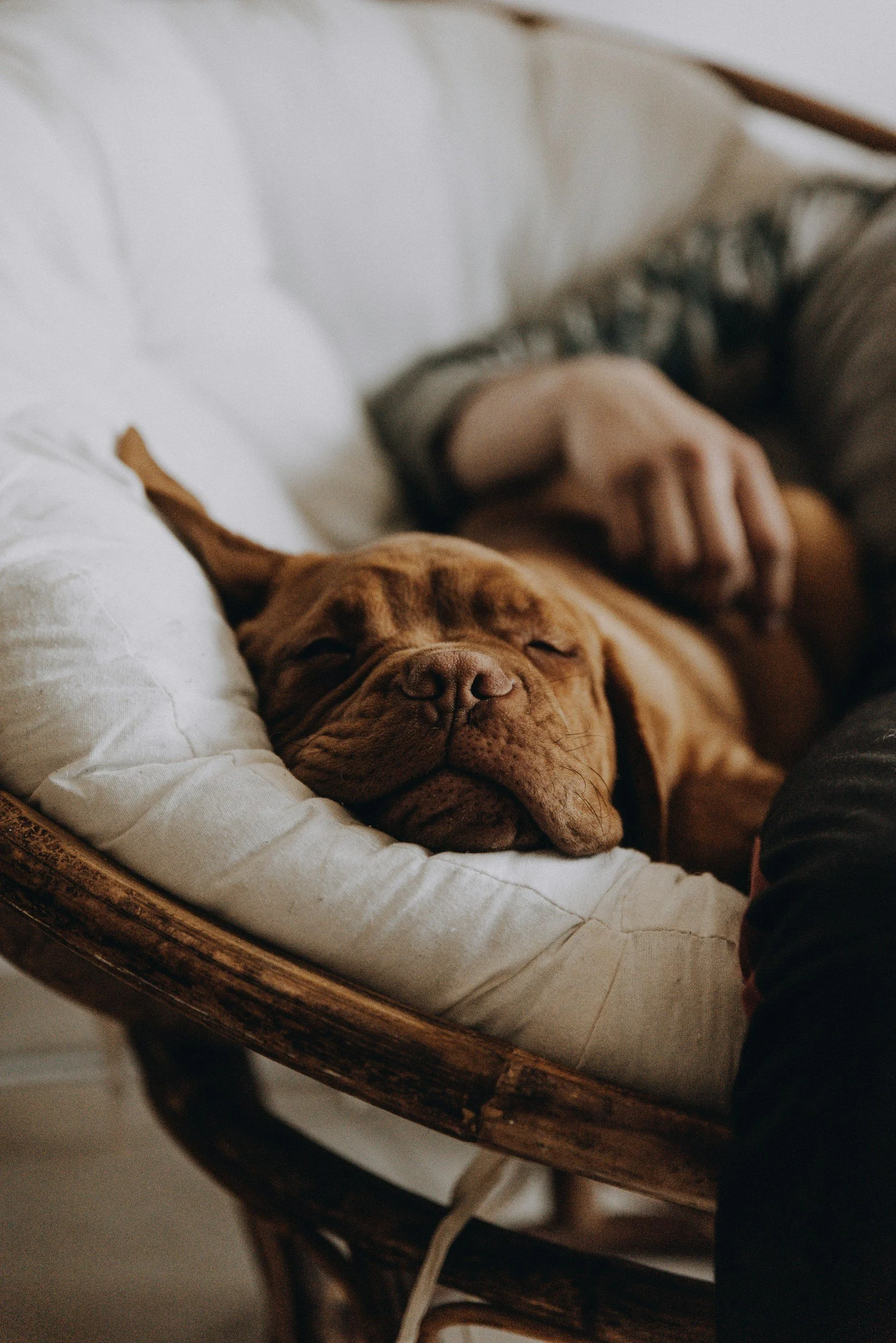 unsplash-image-IHvbODWm4hM.jpg