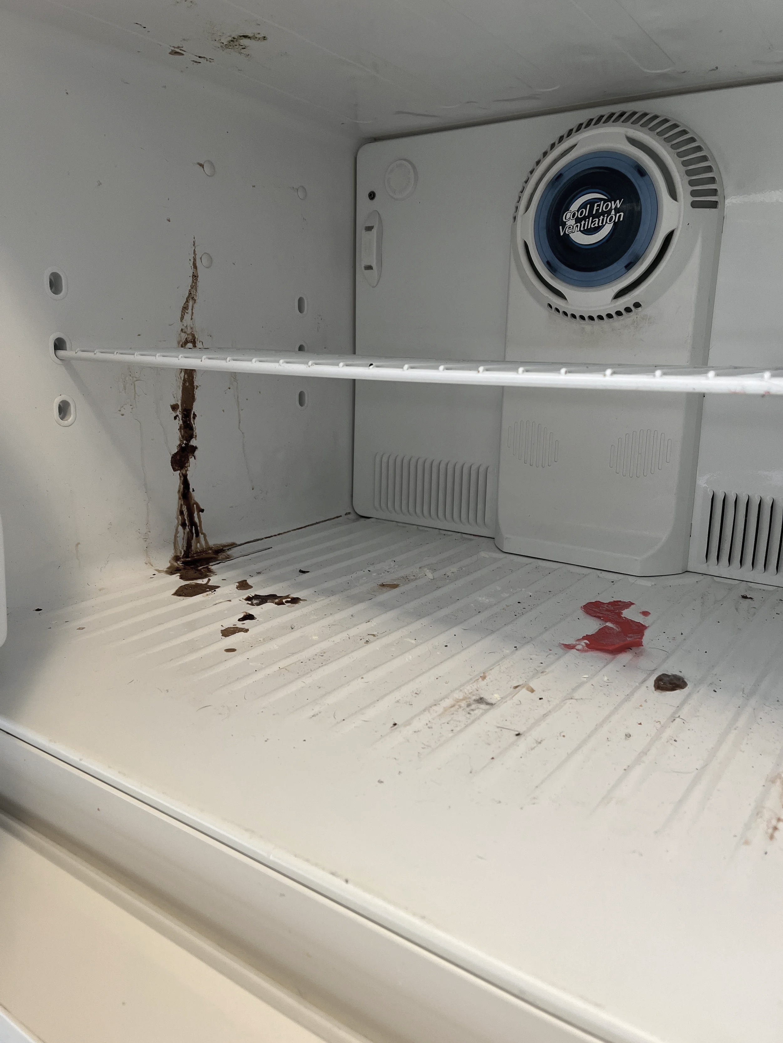 Freezers are tricky to tackle with hardened and sticky messes. Appliances take time and the correct techniques to fully detail back to its original state.