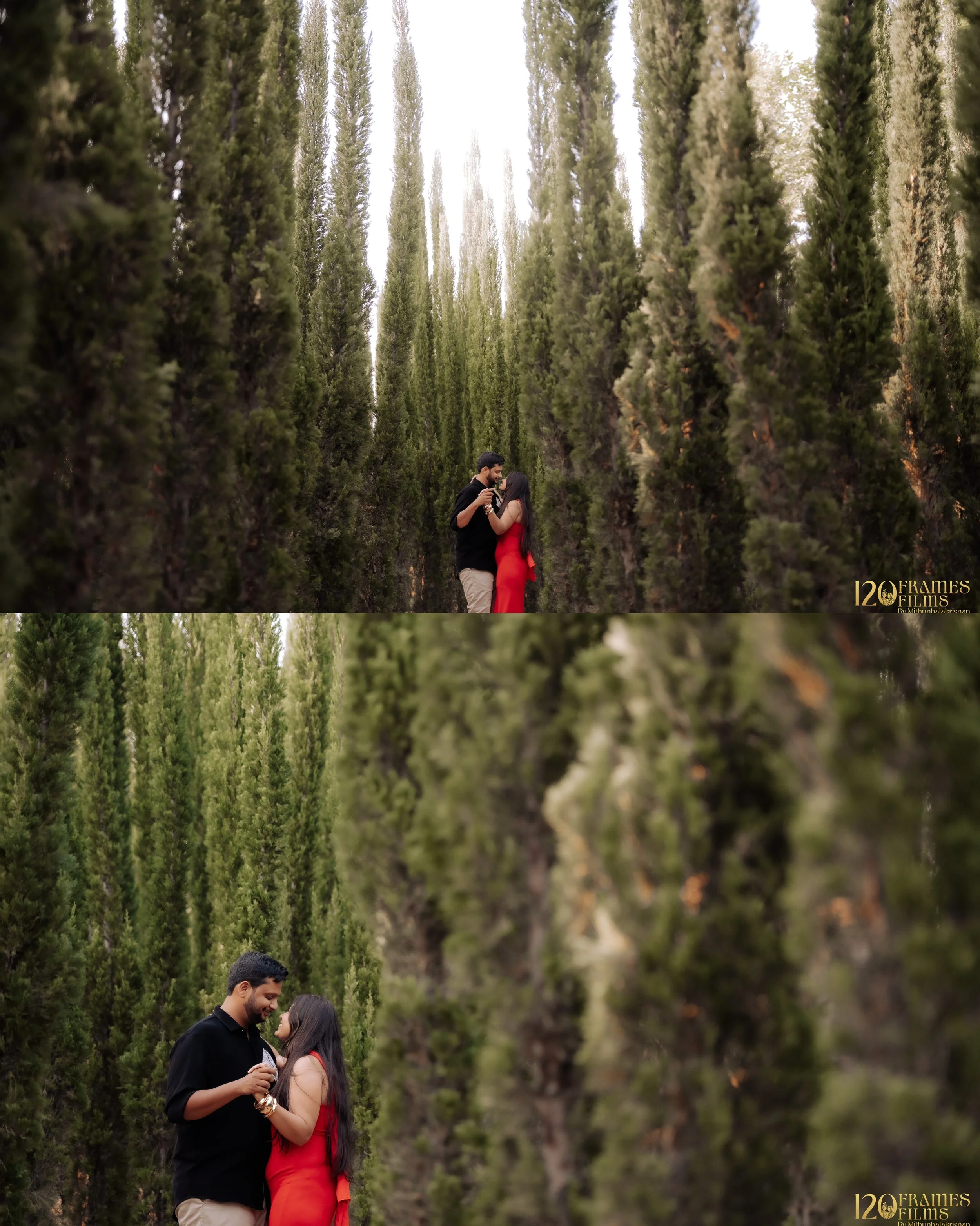 A couple sharing an intimate moment amidst tall, green trees, with the man holding the woman's hand and looking at her affectionately, while she gazes back at him in a red dress.